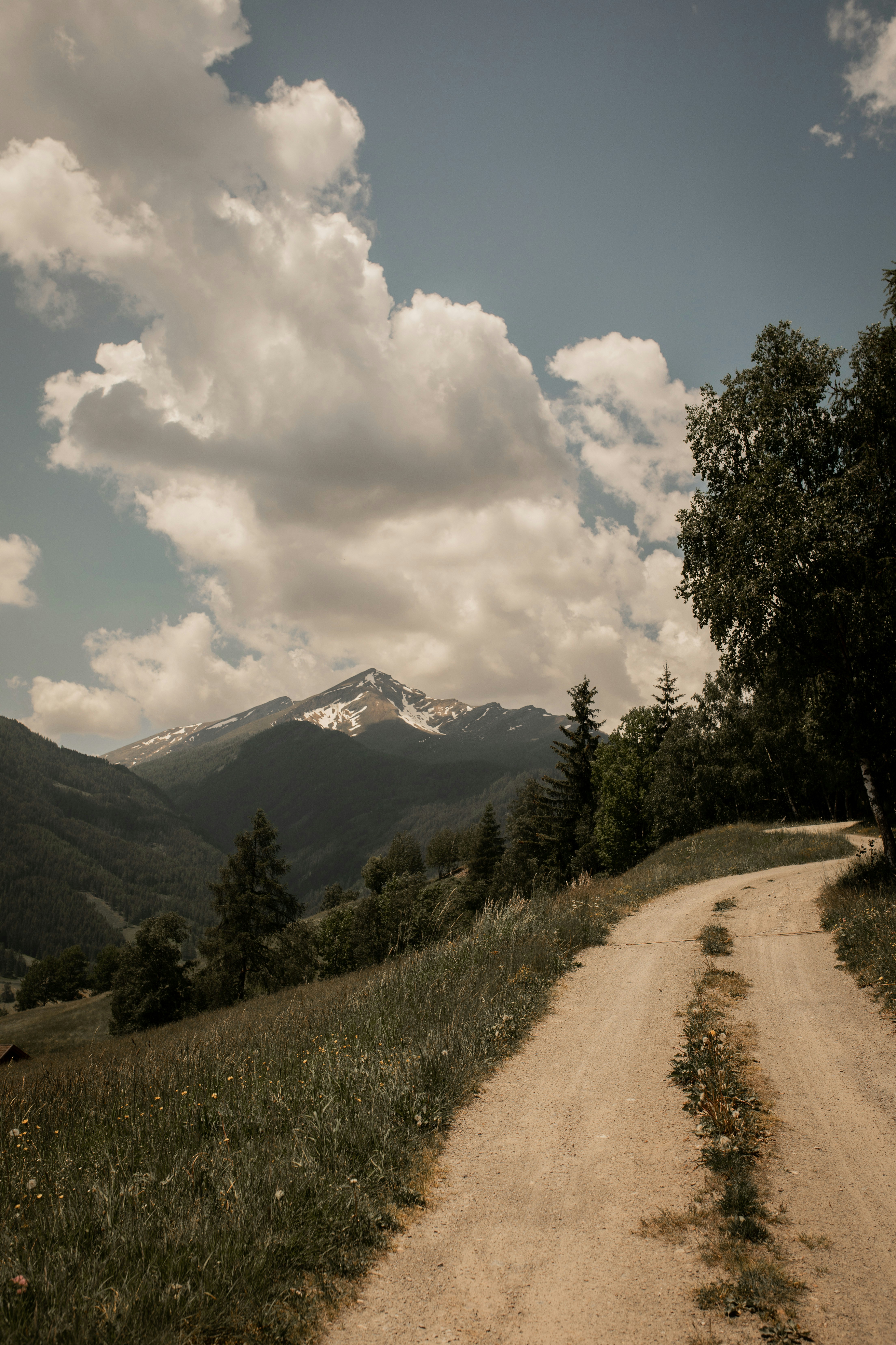 Photo by kajareichardtphotos