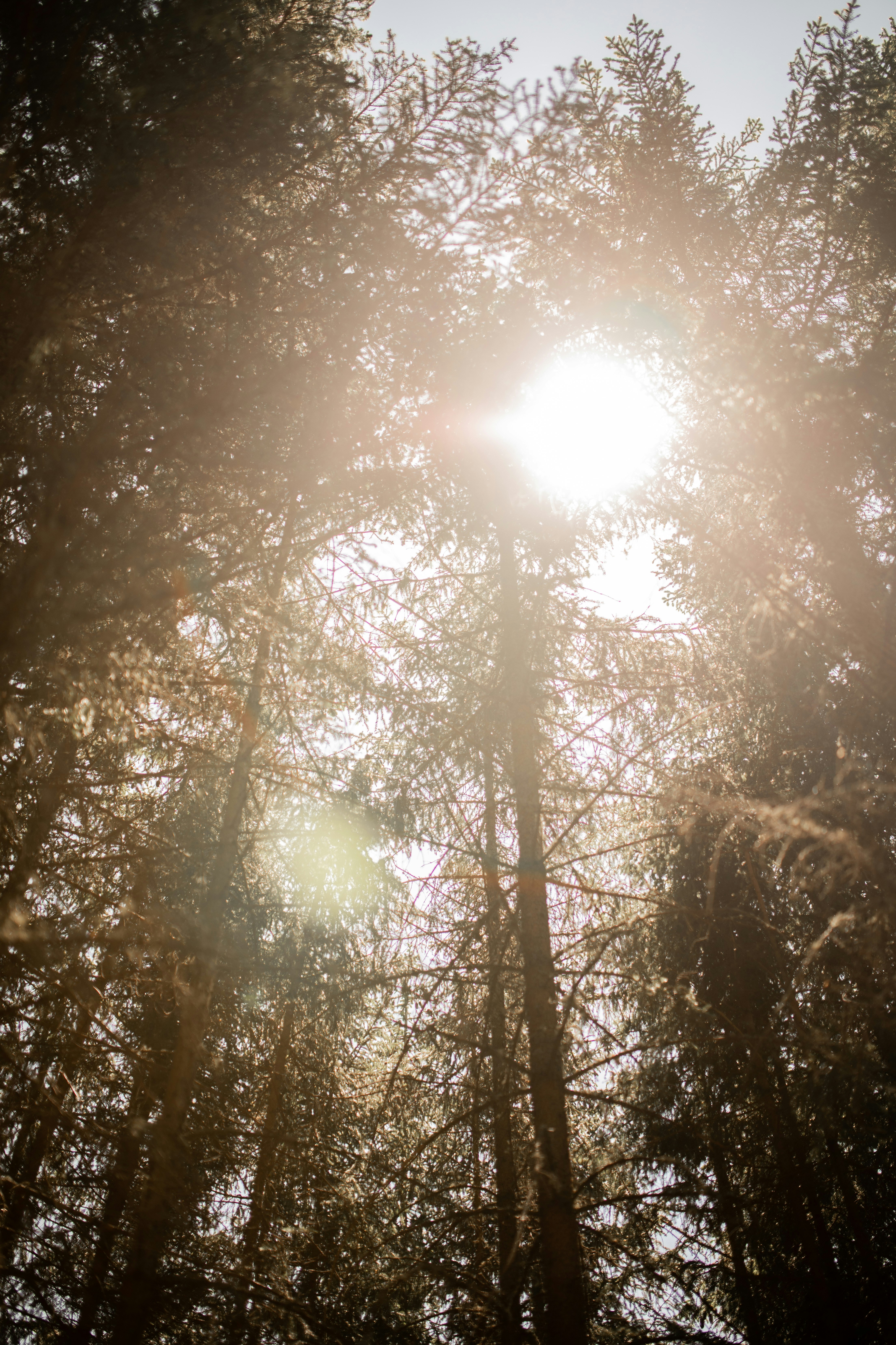 Photo by kajareichardtphotos