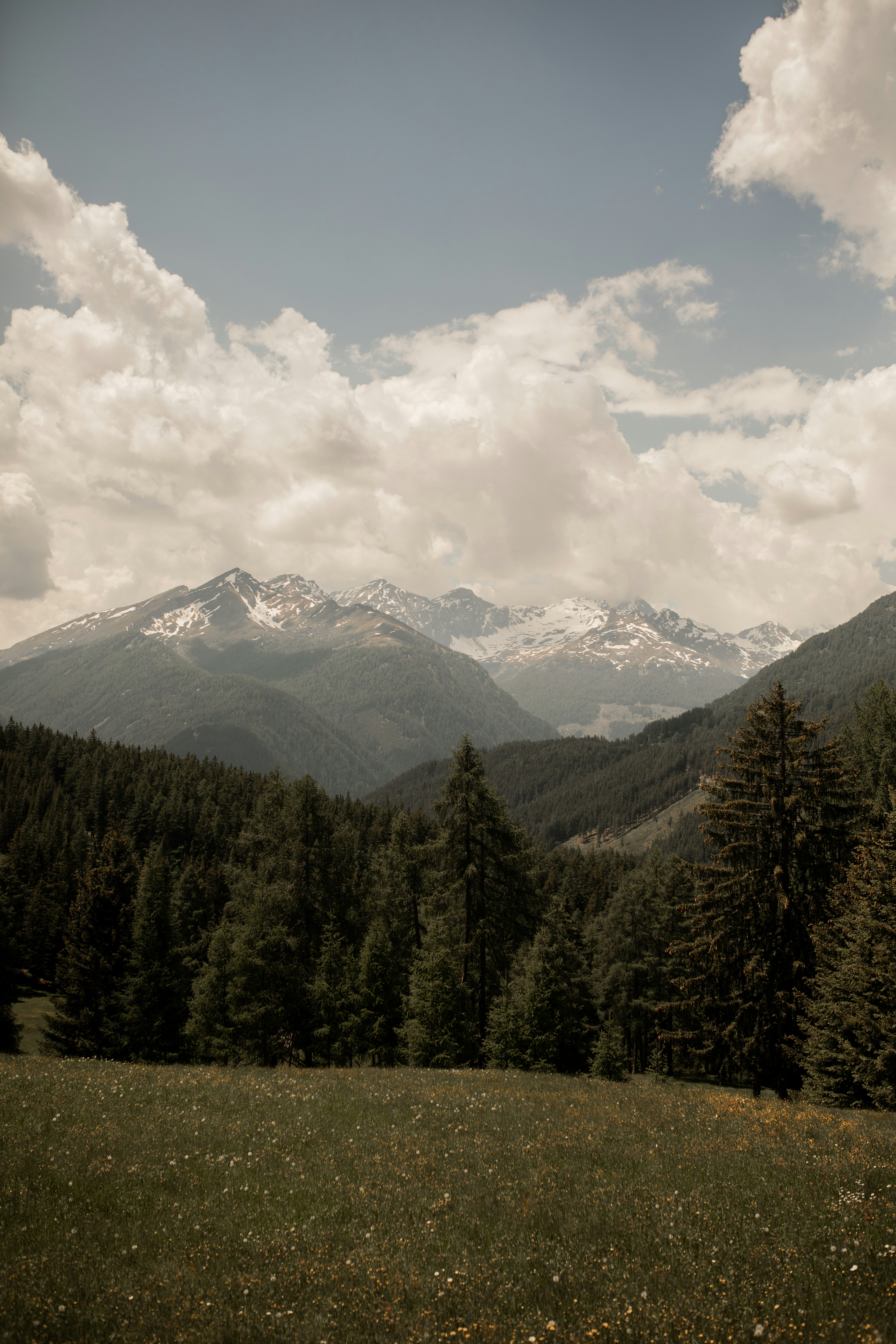 Photo by kajareichardtphotos