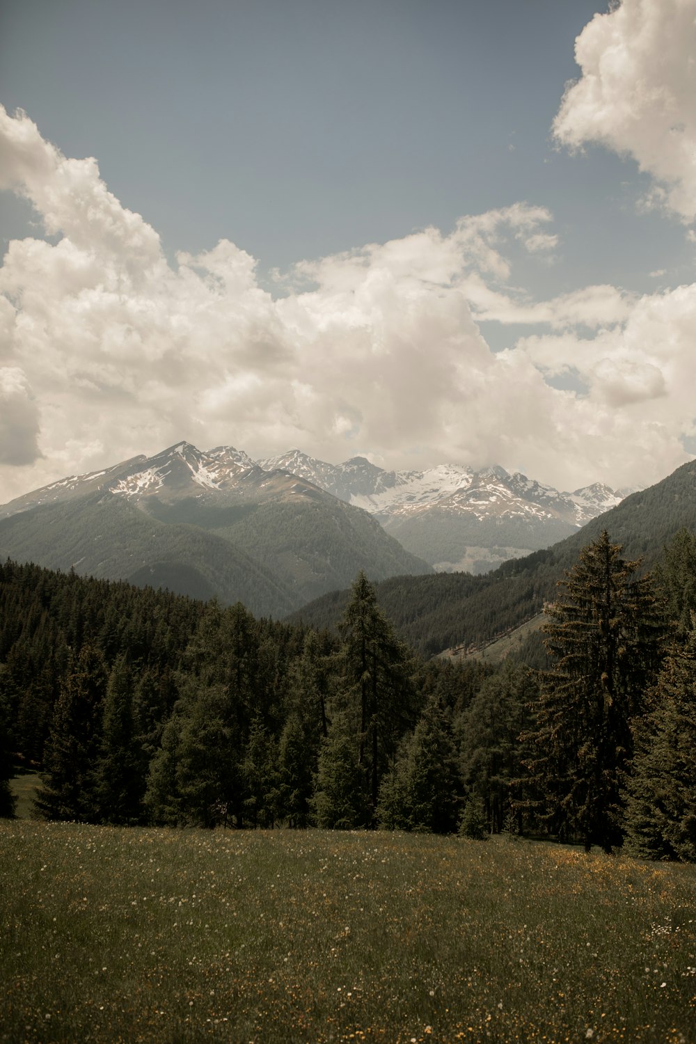 green pine trees near mountain under white clouds during daytime