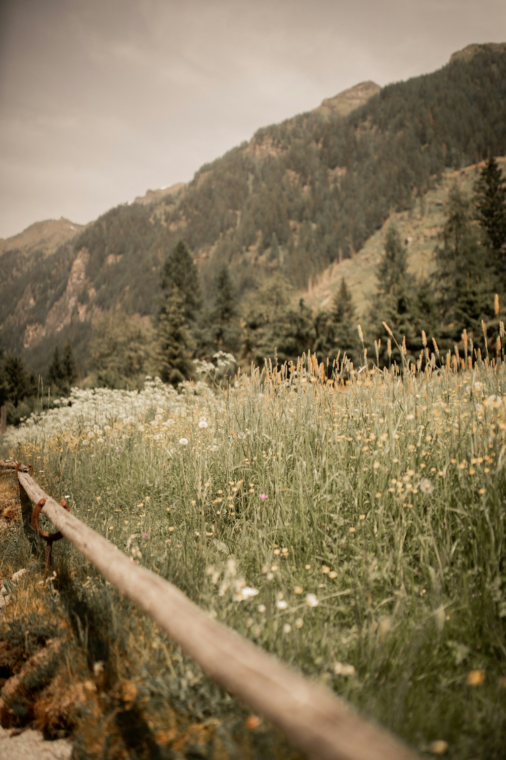 green grass field near mountain during daytime