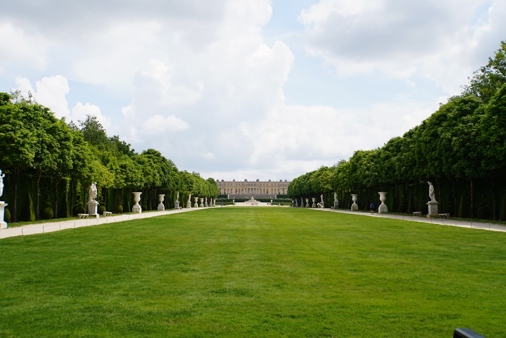 green grass field with trees under white clouds during daytime