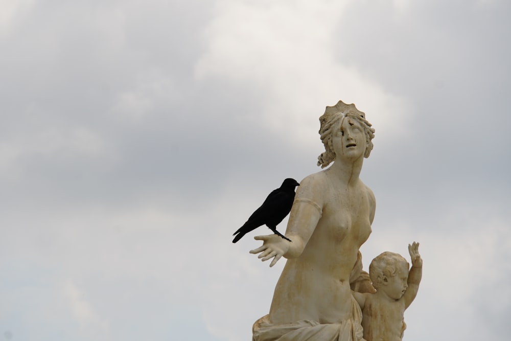 black bird on white angel statue photo – Free Versailles Image on Unsplash