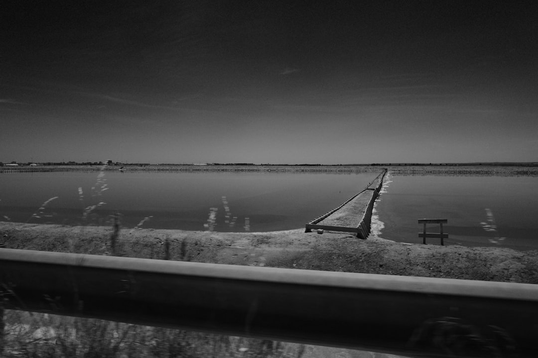 grayscale photo of bridge over body of water