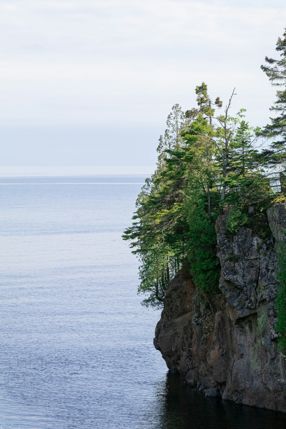 green trees on brown rock formation beside sea during daytime