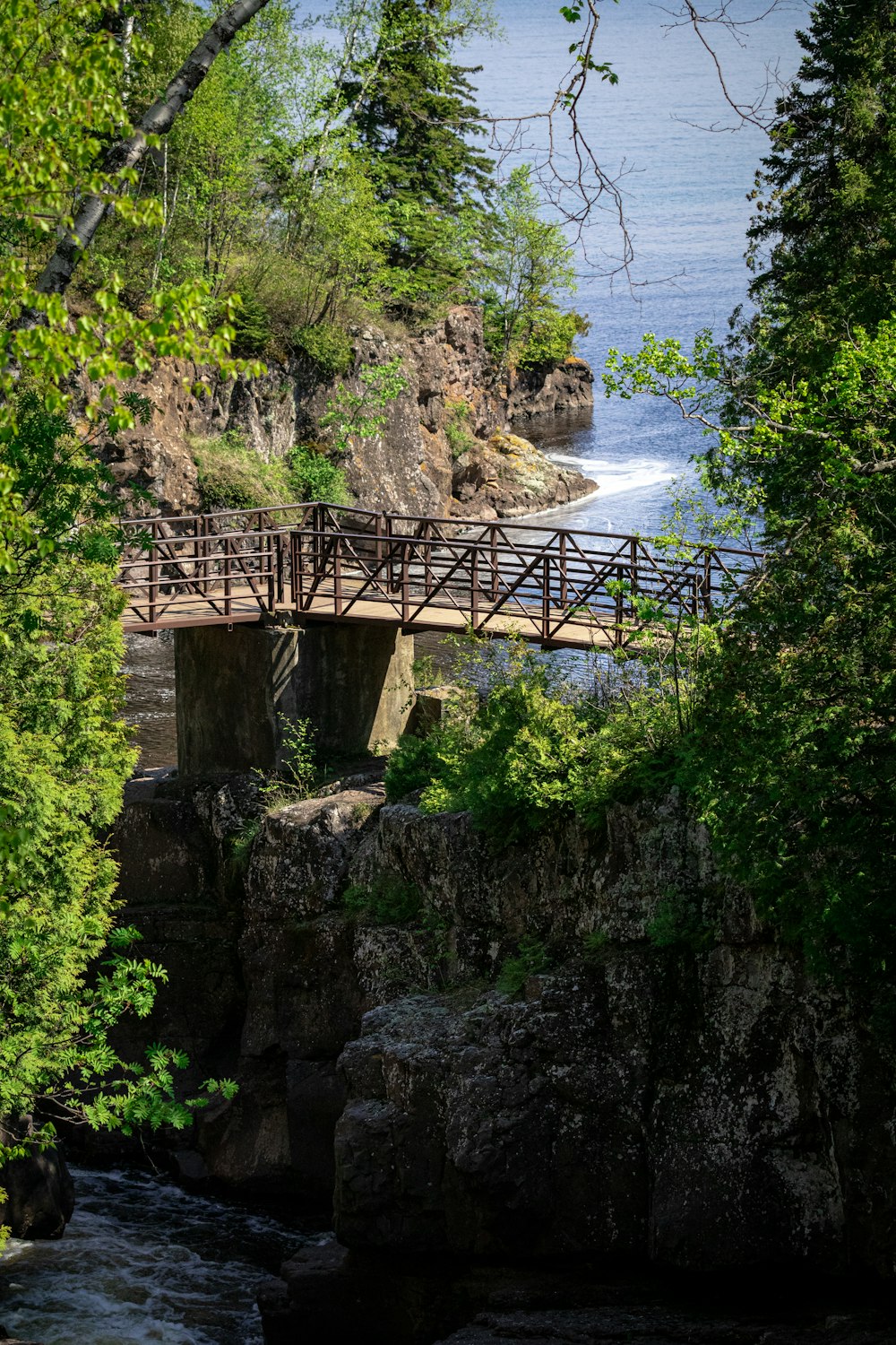 ponte de madeira marrom sobre o rio