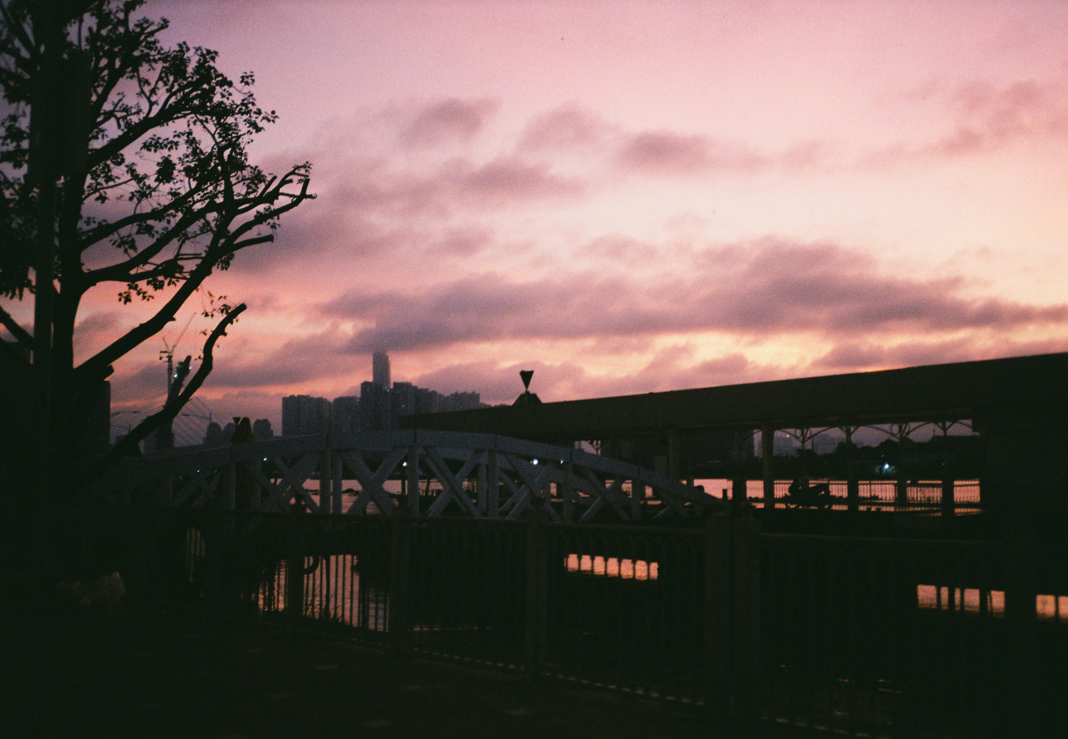 Photo by bovinwook