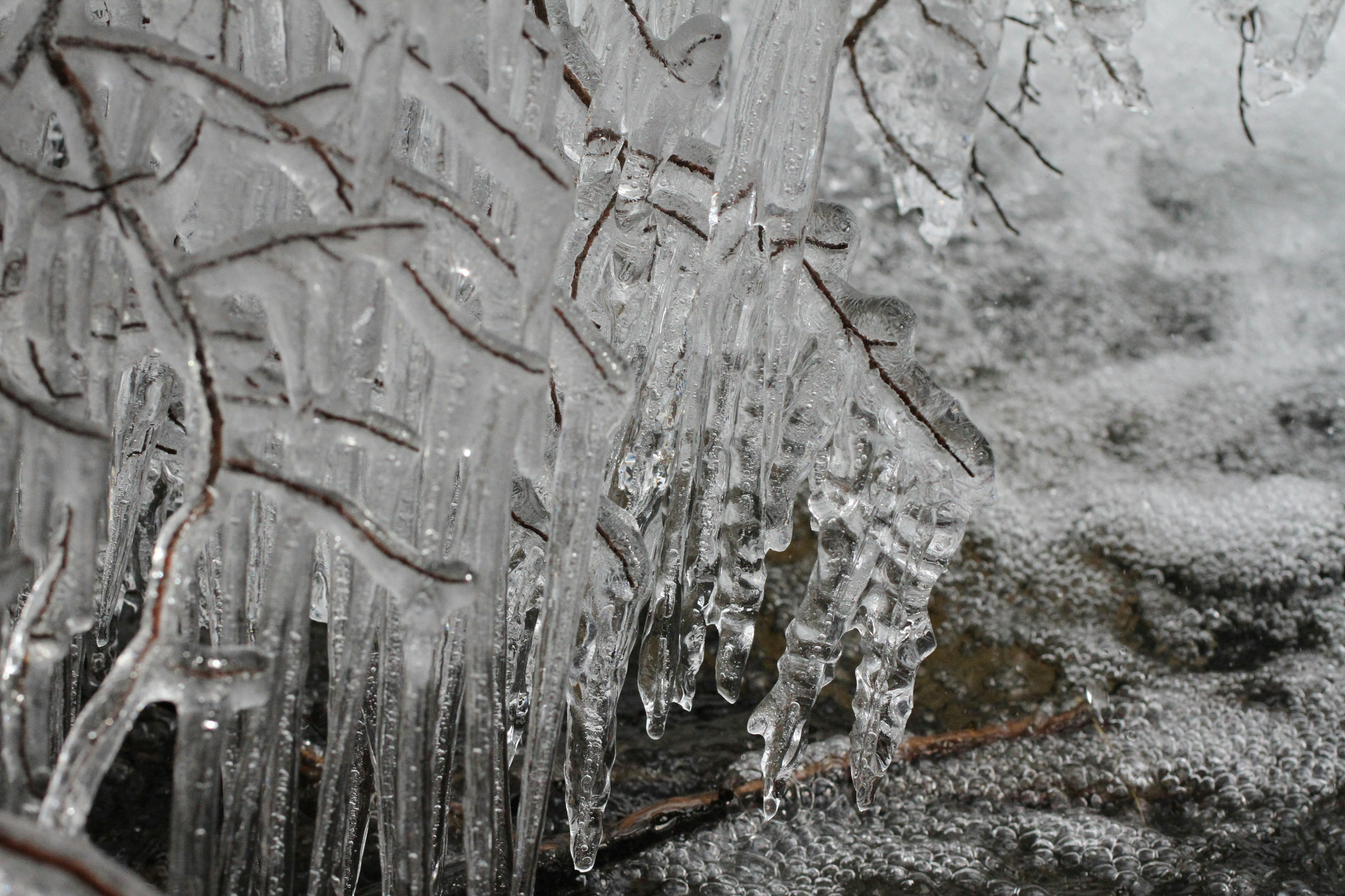 Photo by viajeenparacaidas