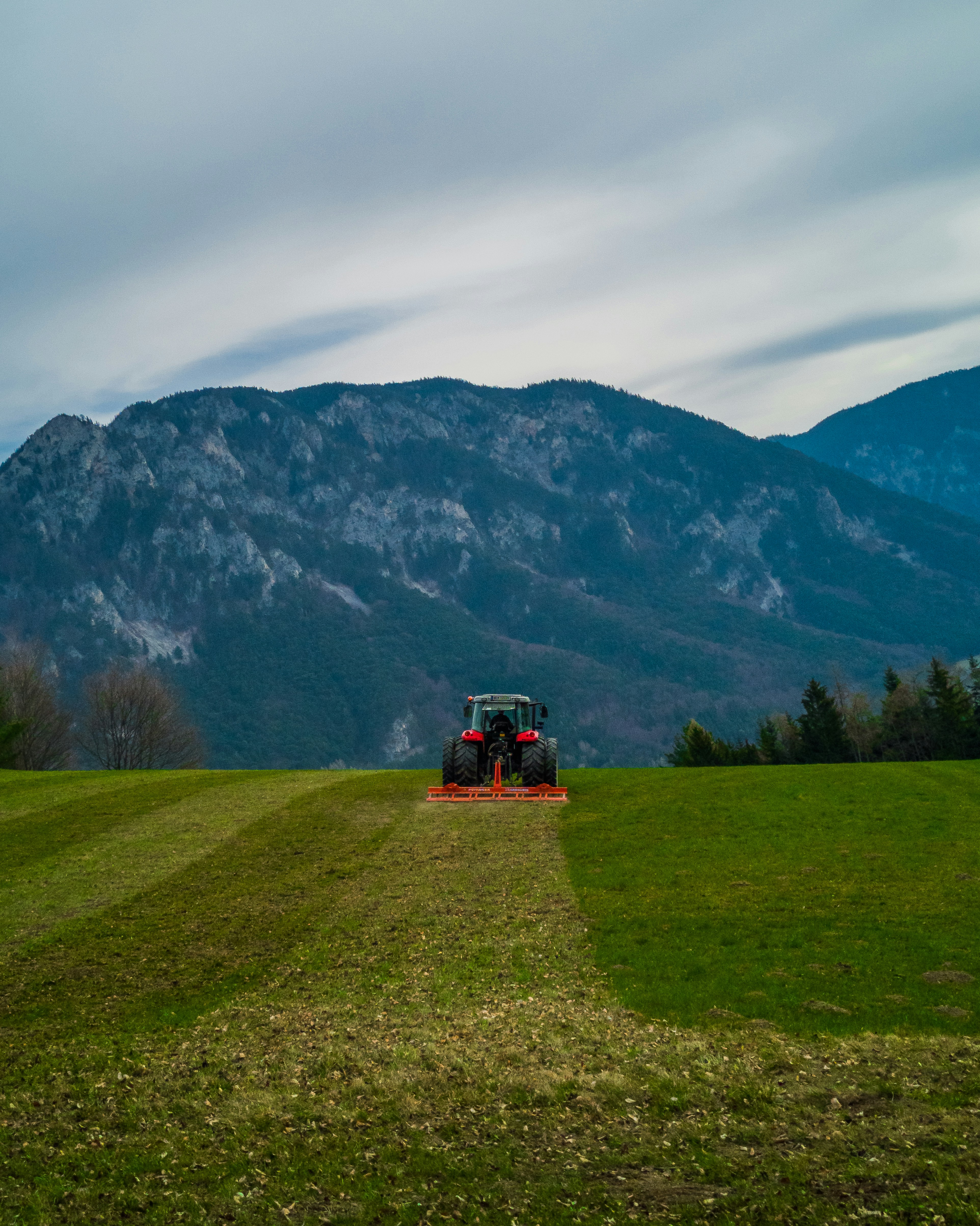 Verti-mowing service in Ellenbrook by HomeGreens