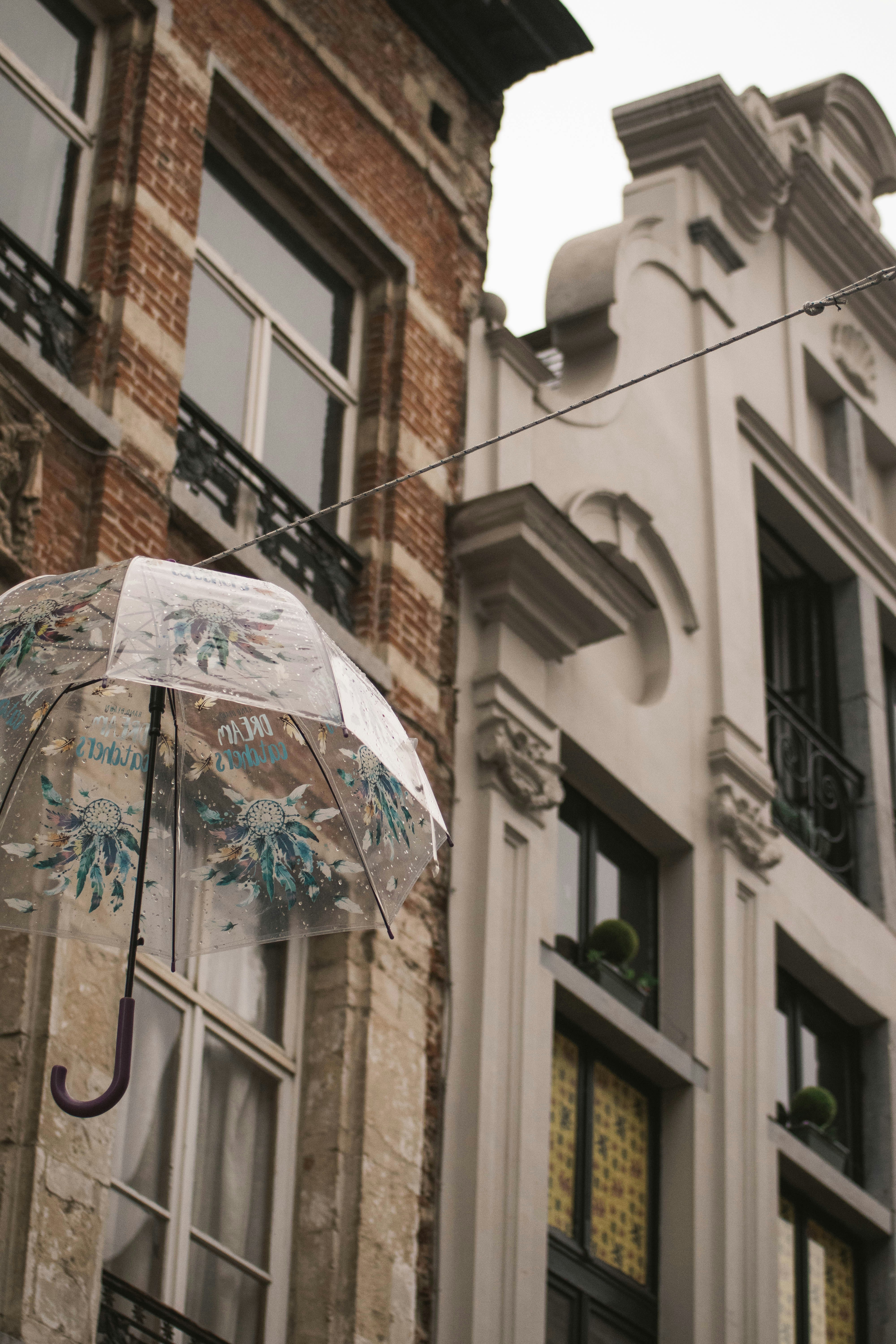 parapluie blanc et bleu dans la rue