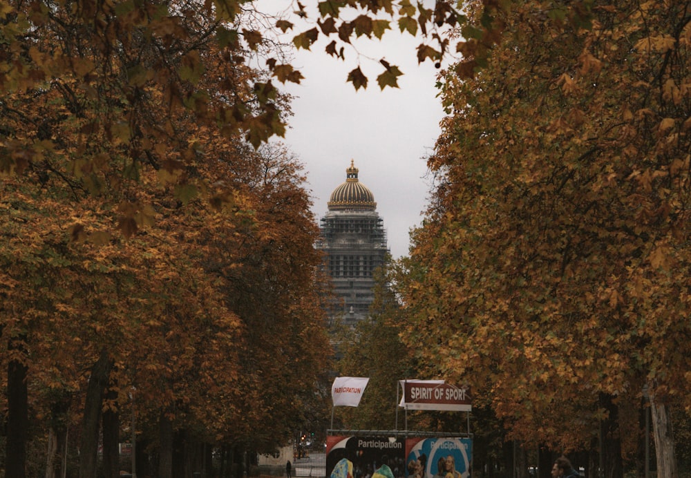 people walking on sidewalk near green trees and building during daytime