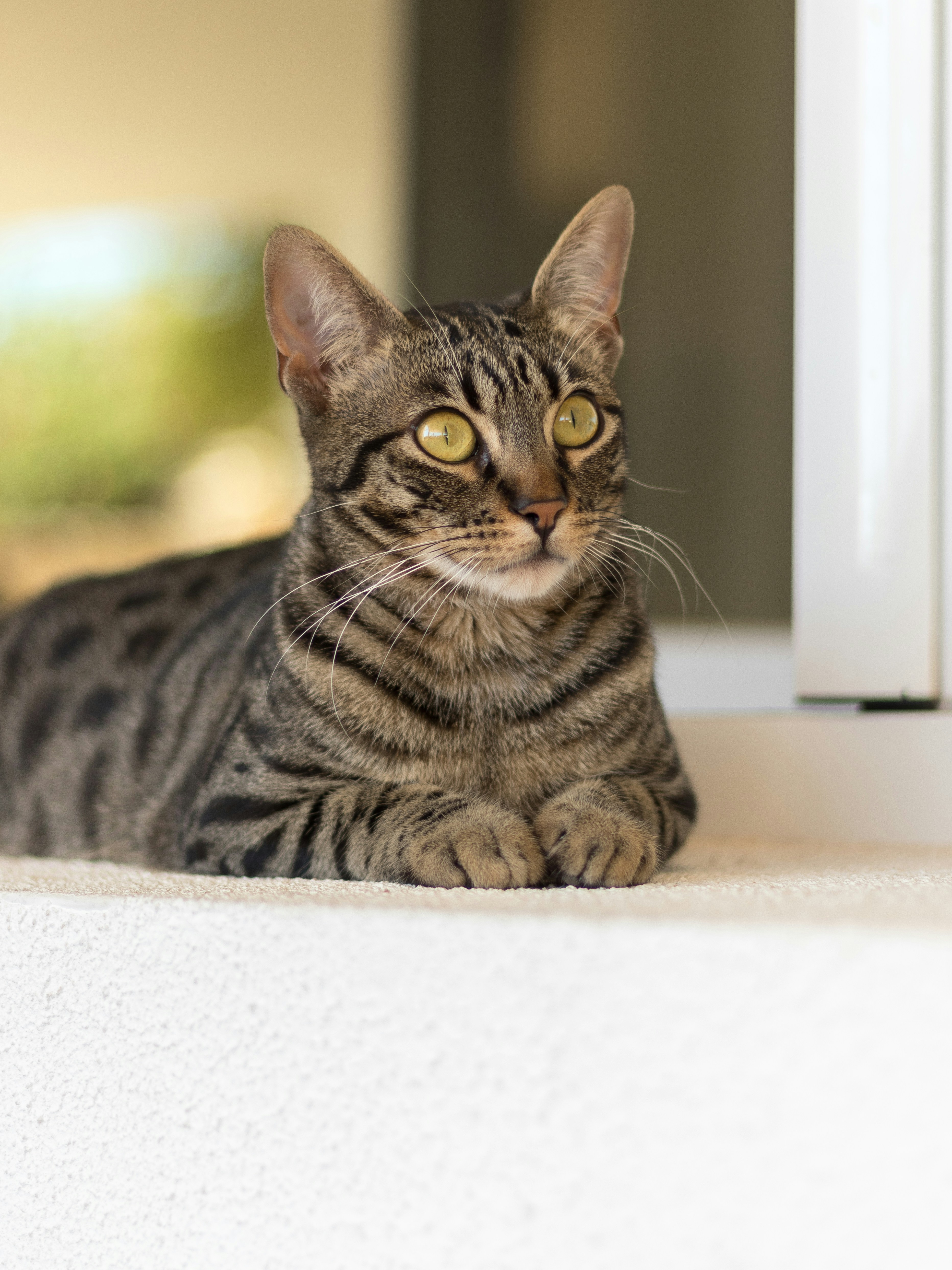 Photo by eugenproskouriakov