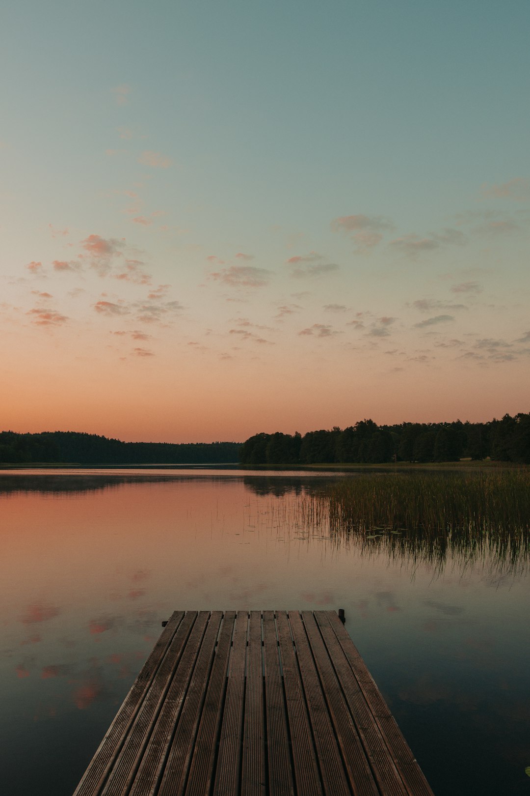 brown wooden dock on lake during daytime