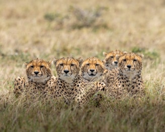 kenya travel itinerary