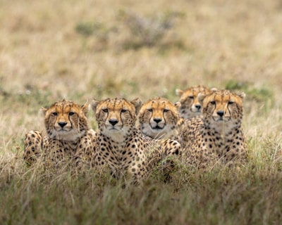 kenya travel itinerary