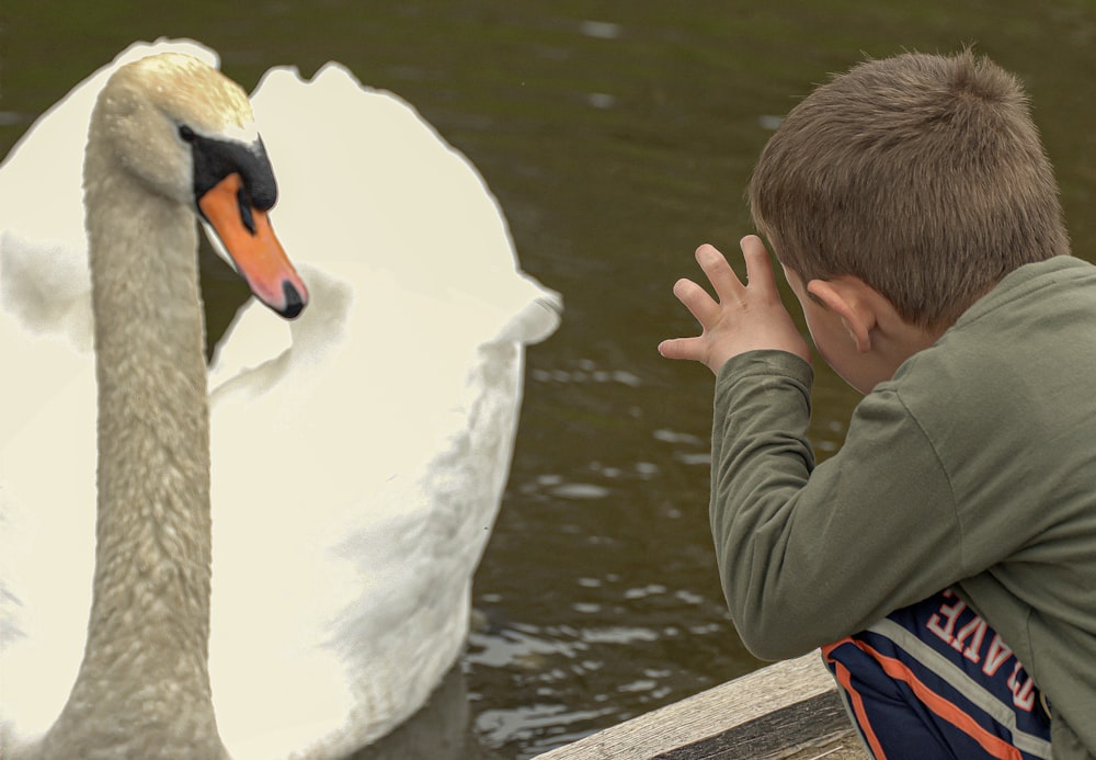 woman in gray jacket feeding white swan