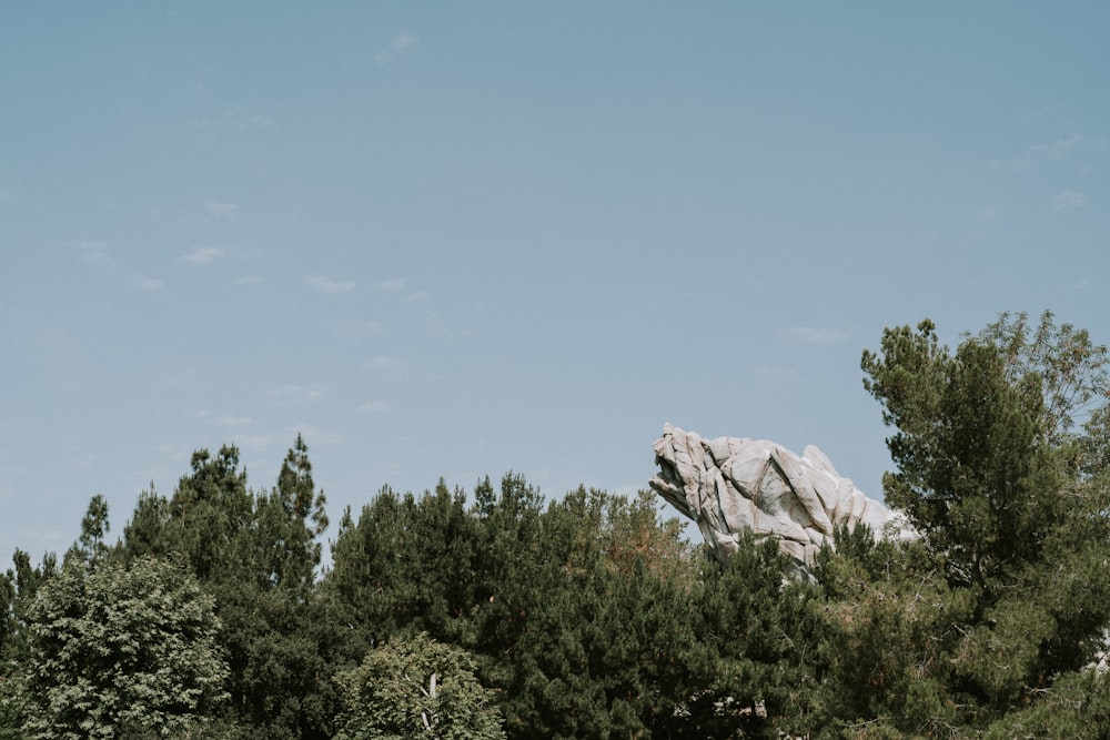 green trees near gray rock mountain under blue sky during daytime