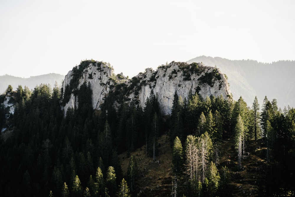 green trees near mountain during daytime