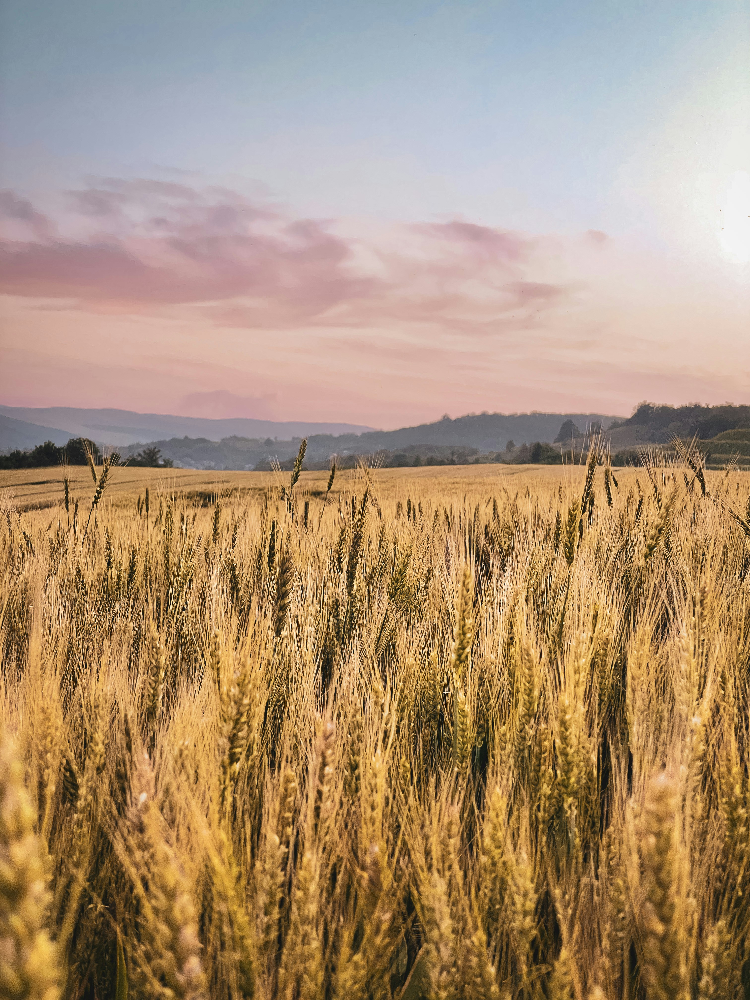 Photo by stefan_nutu