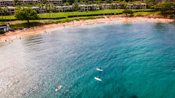 parasailing Maui over a beach