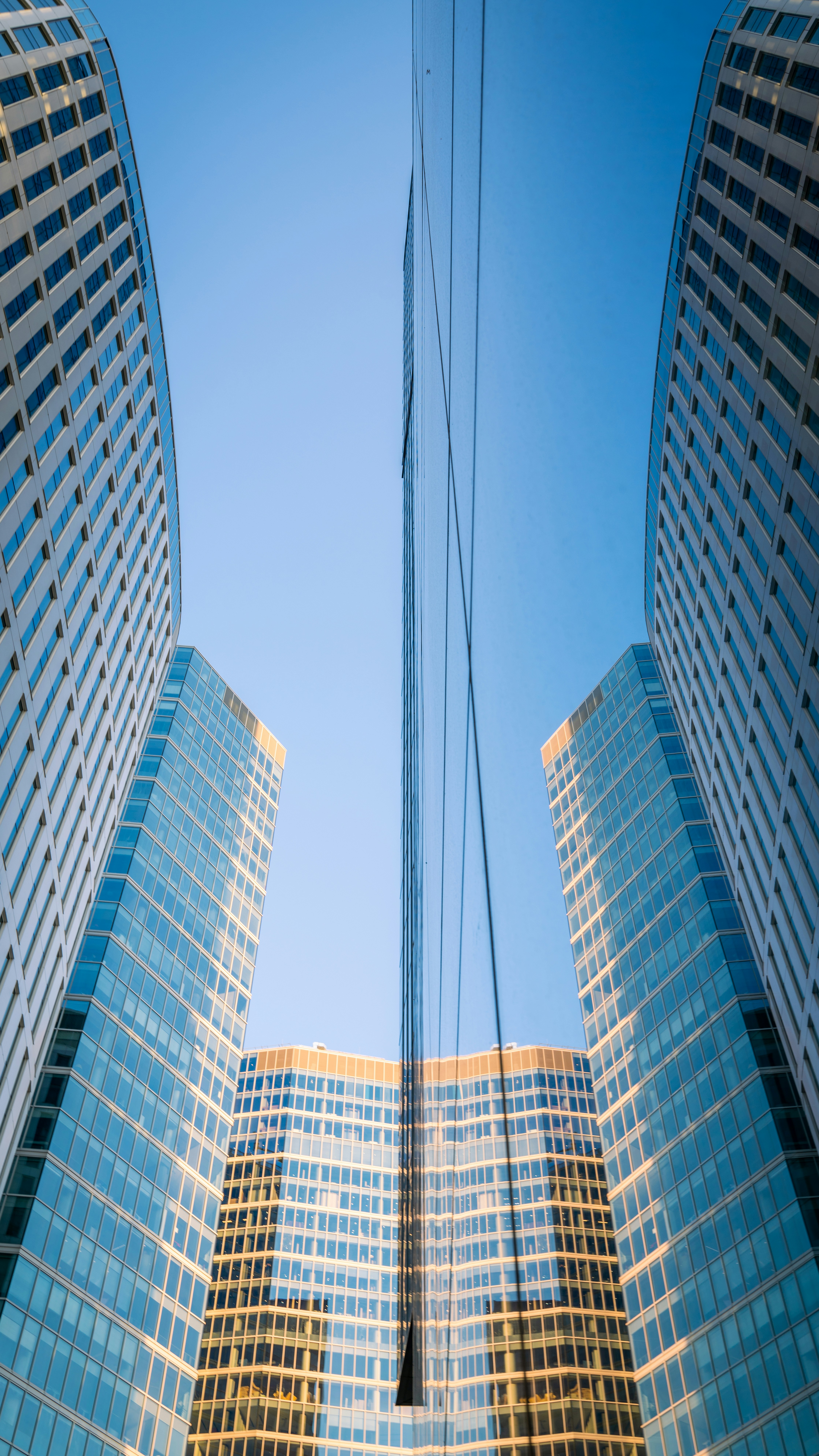 Photo by borkography