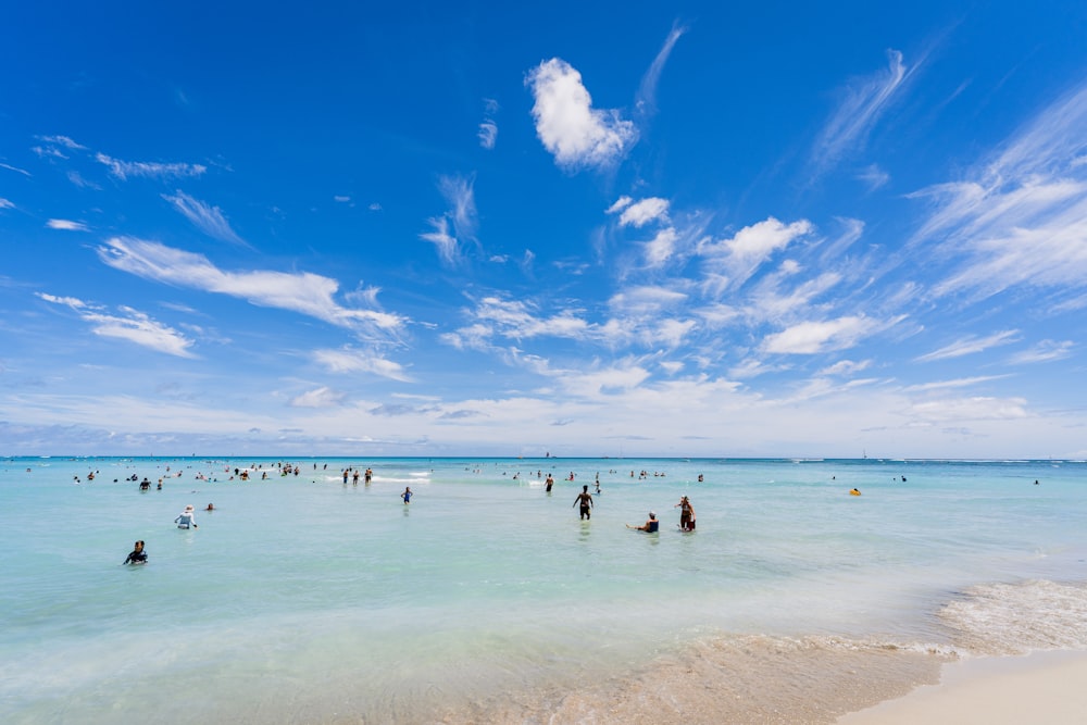 people on beach during daytime