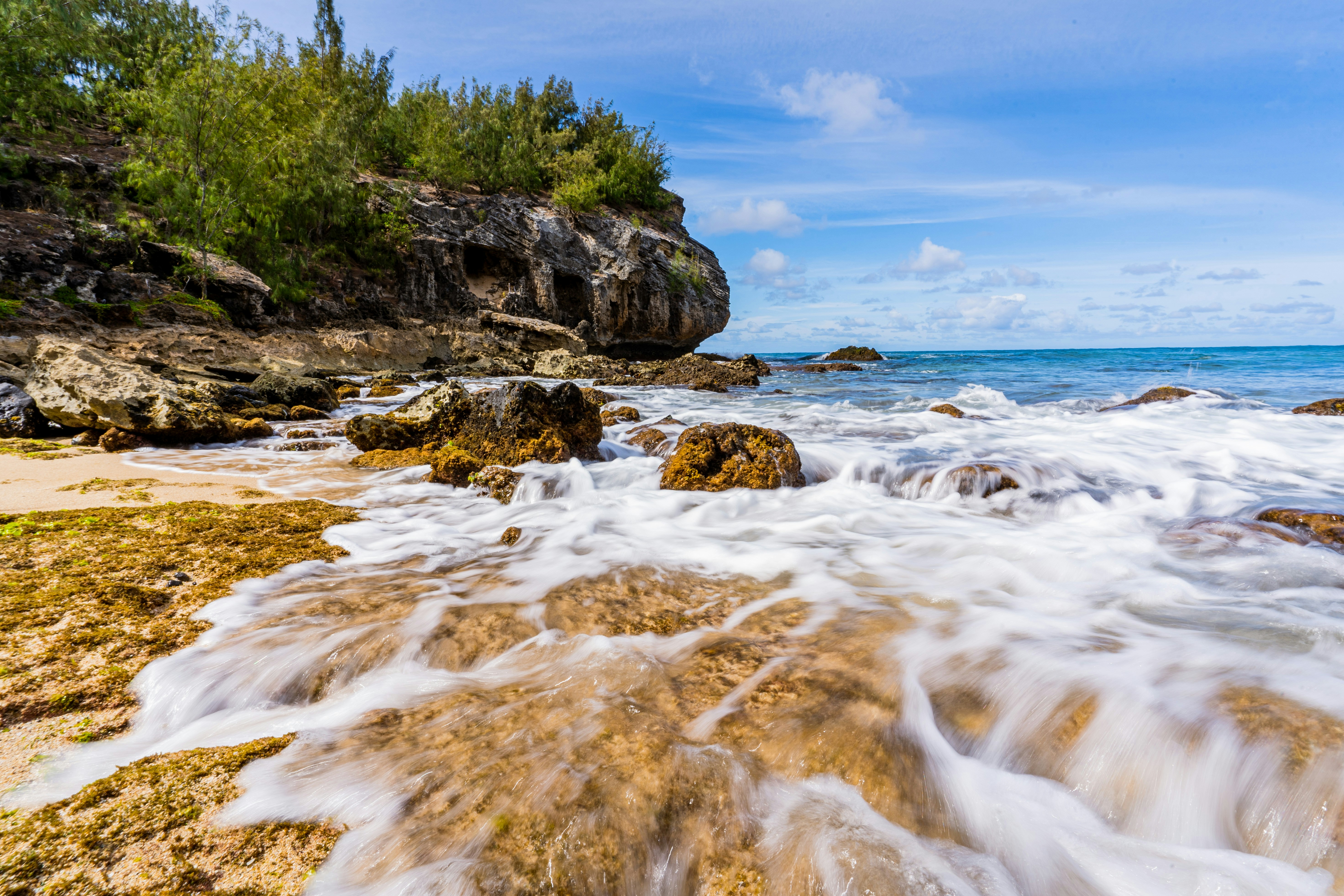 green trees on brown rocky shore under blue sky during daytime, 