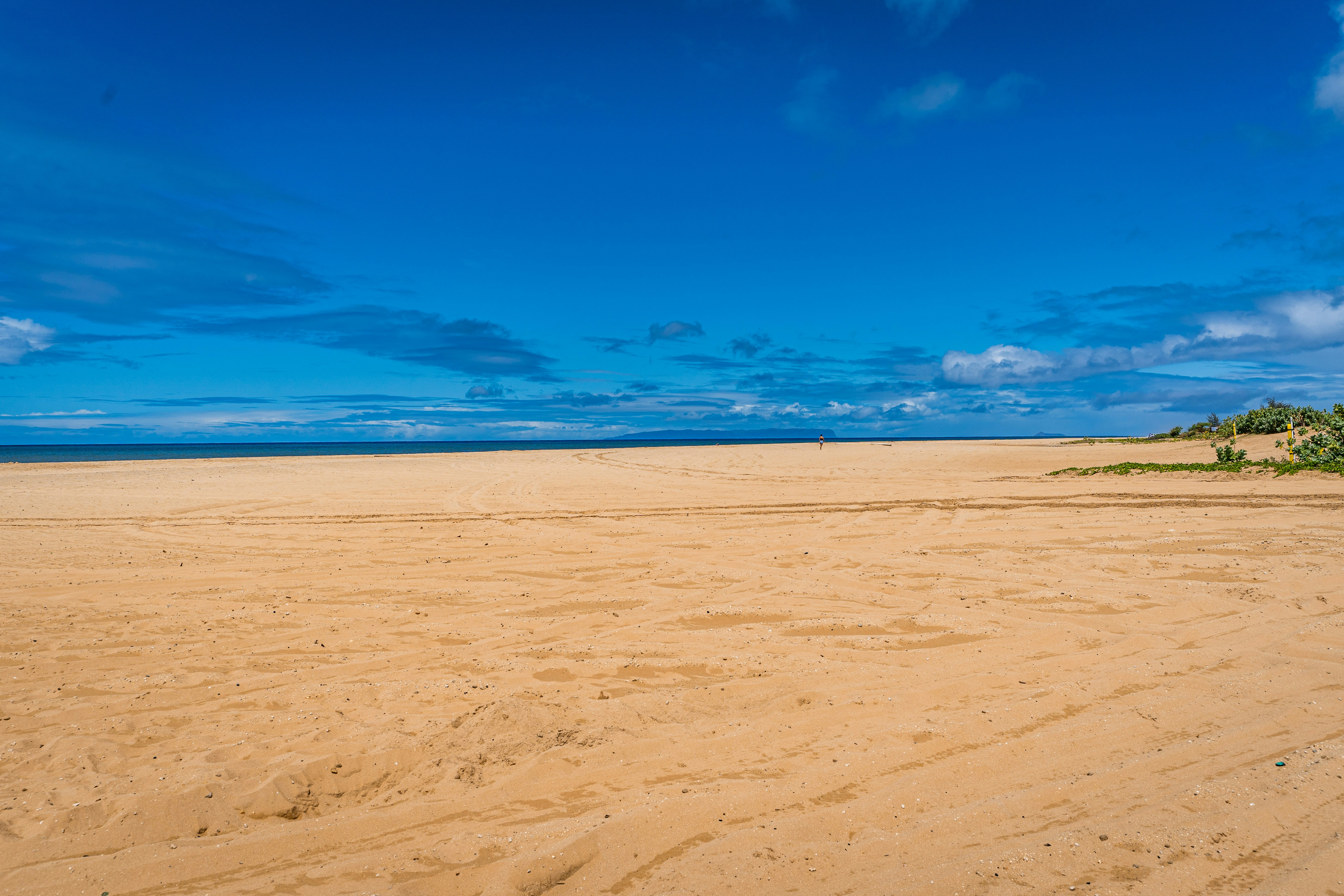 Photo by dapperprofessional