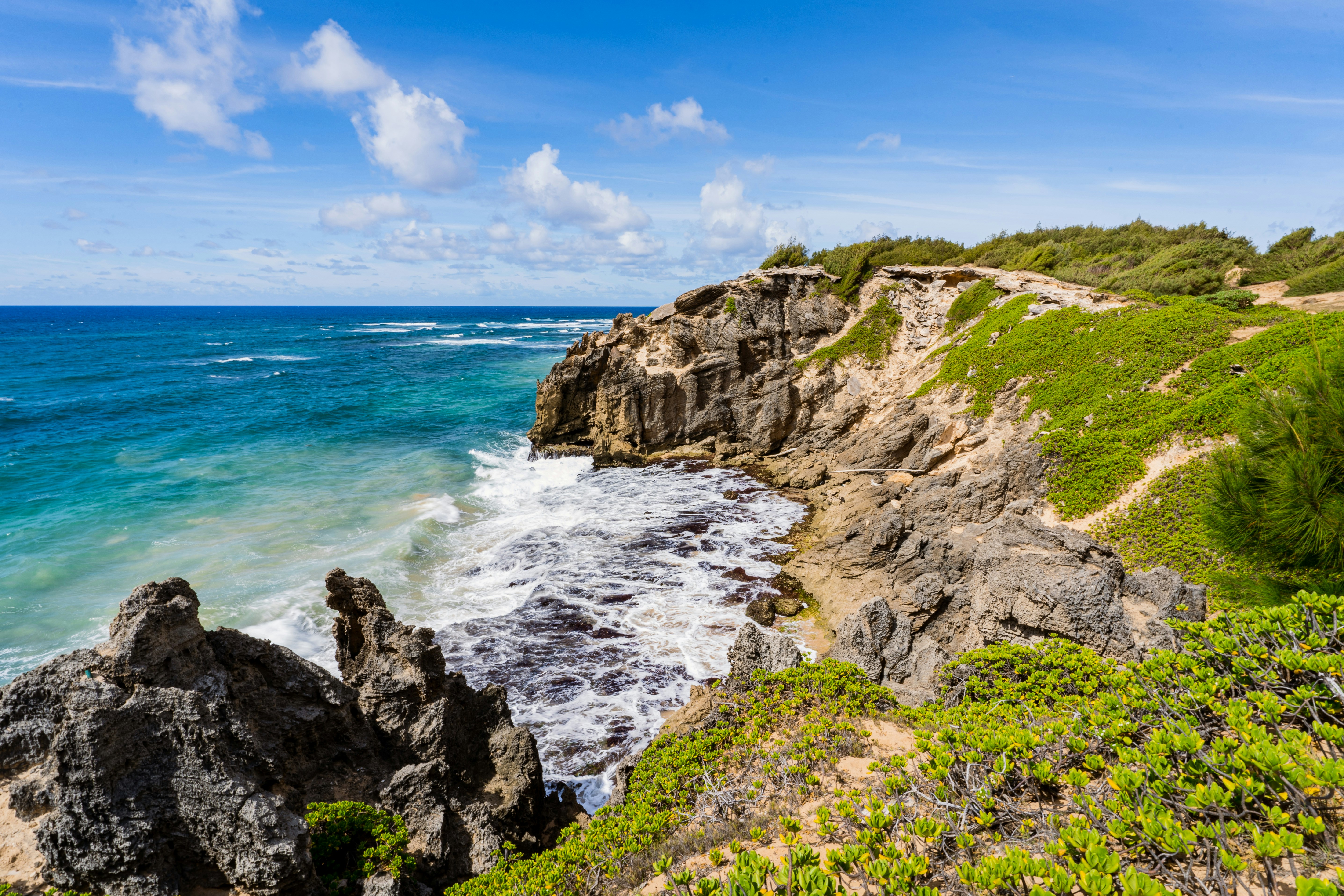 Photo by dapperprofessional