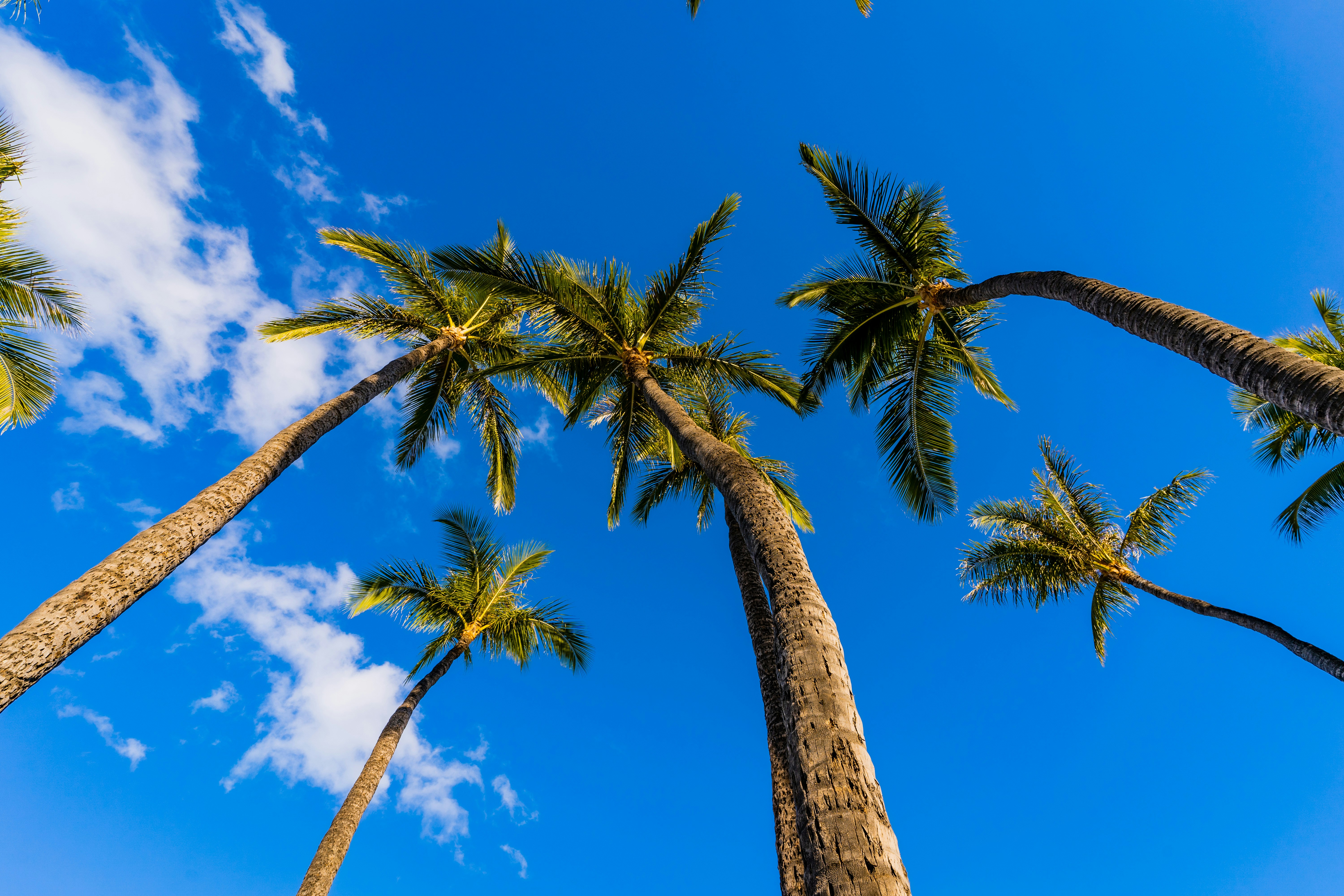 Photo by dapperprofessional