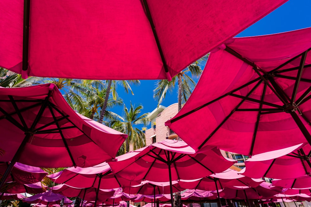 red and white umbrella lot