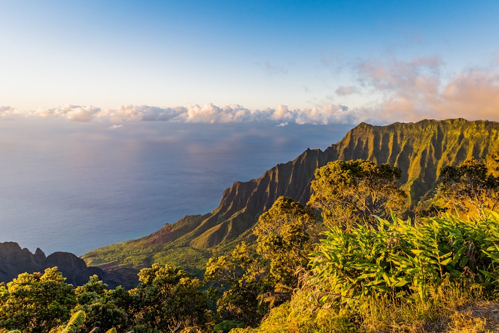 green and brown mountain under blue sky during daytime