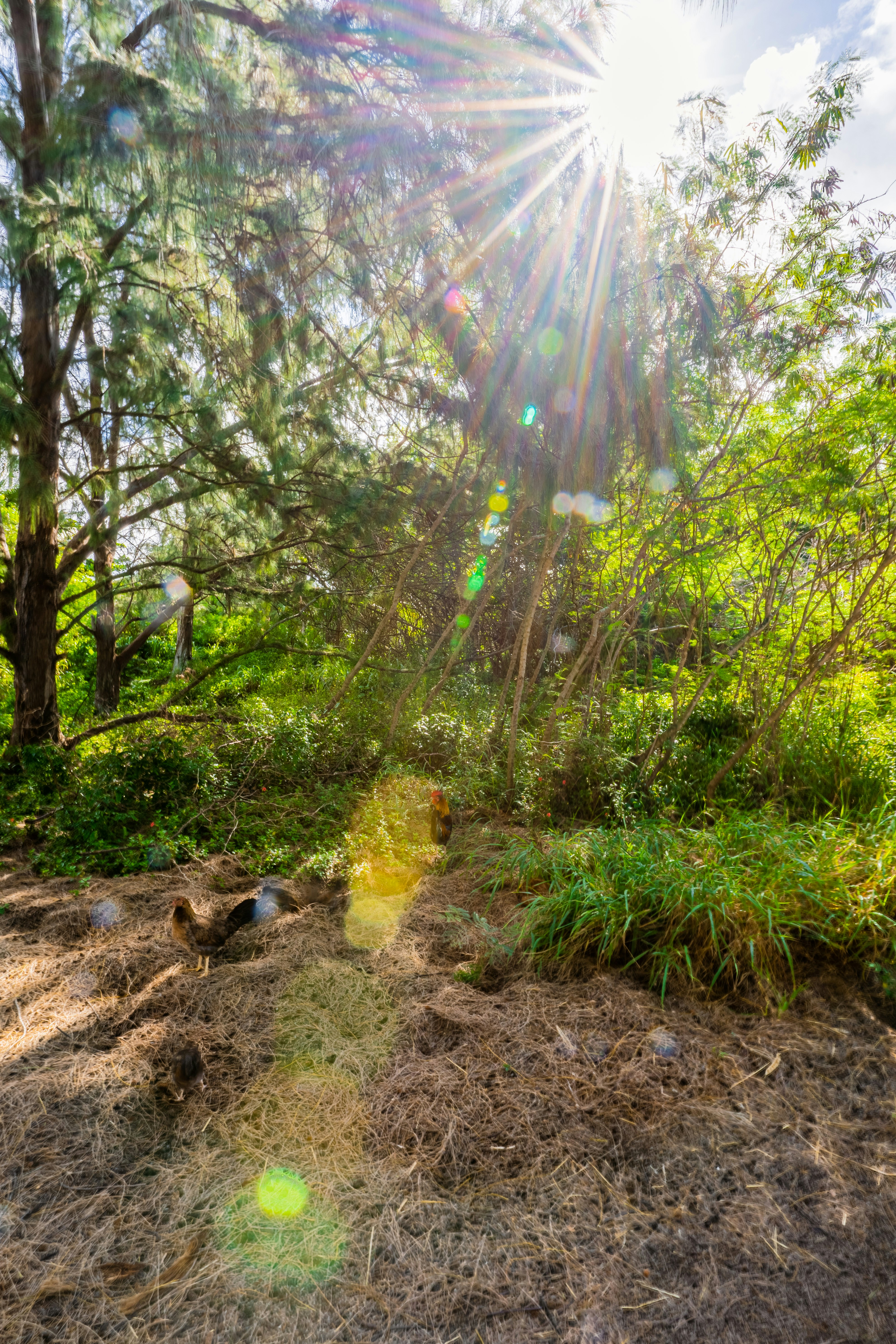 Photo by dapperprofessional