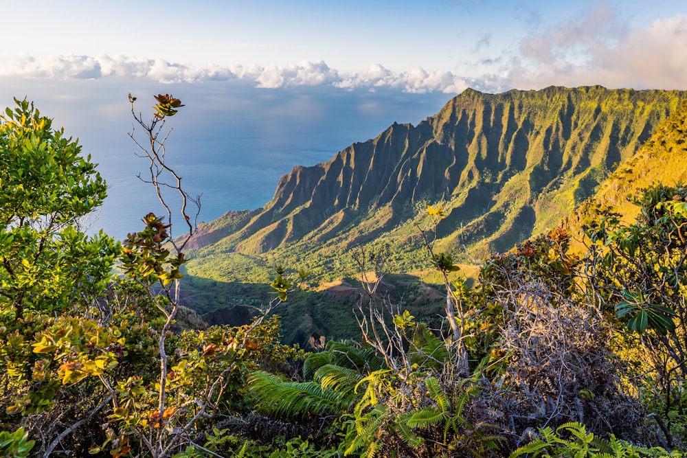 green and brown mountains under blue sky during daytime