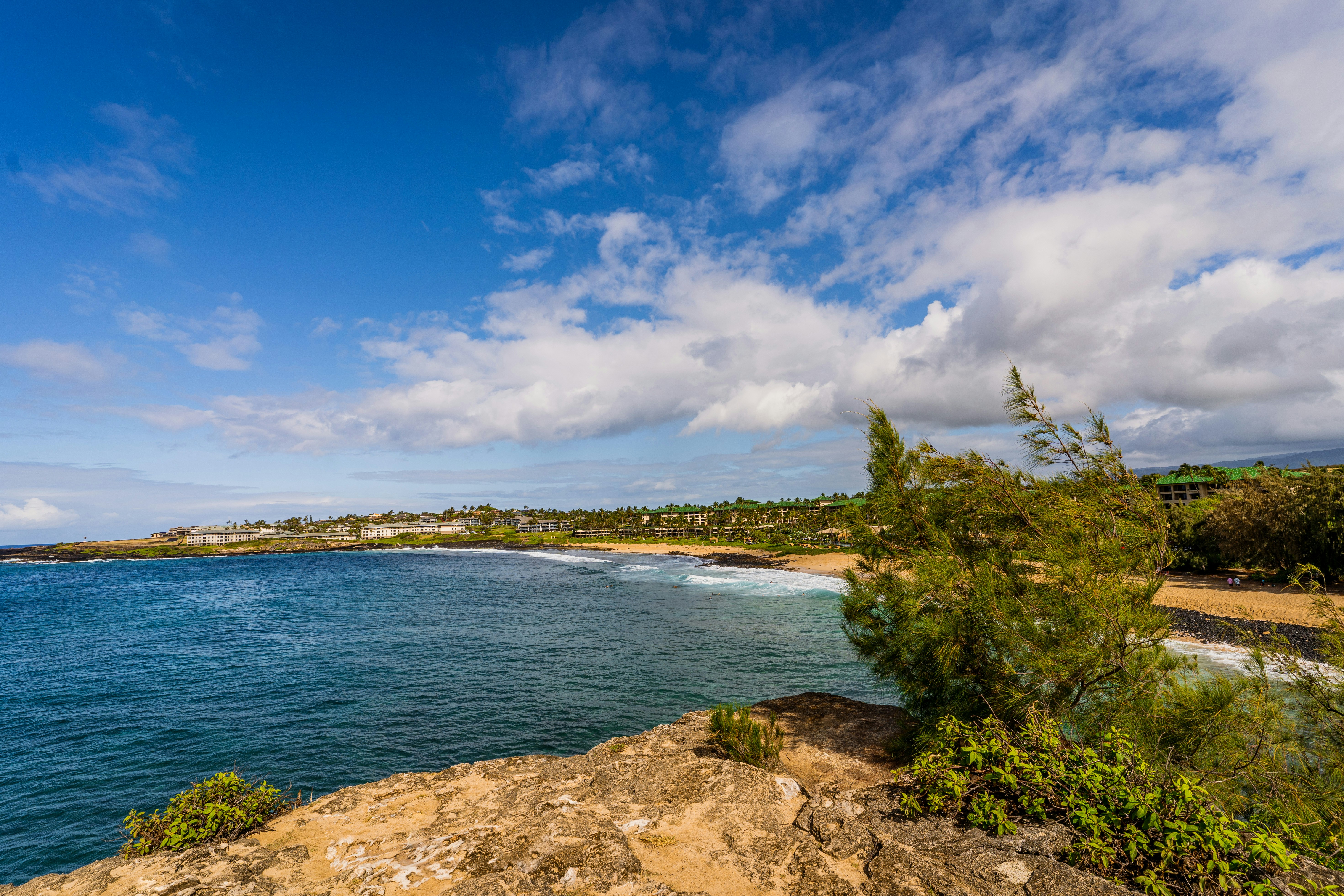 Photo by dapperprofessional