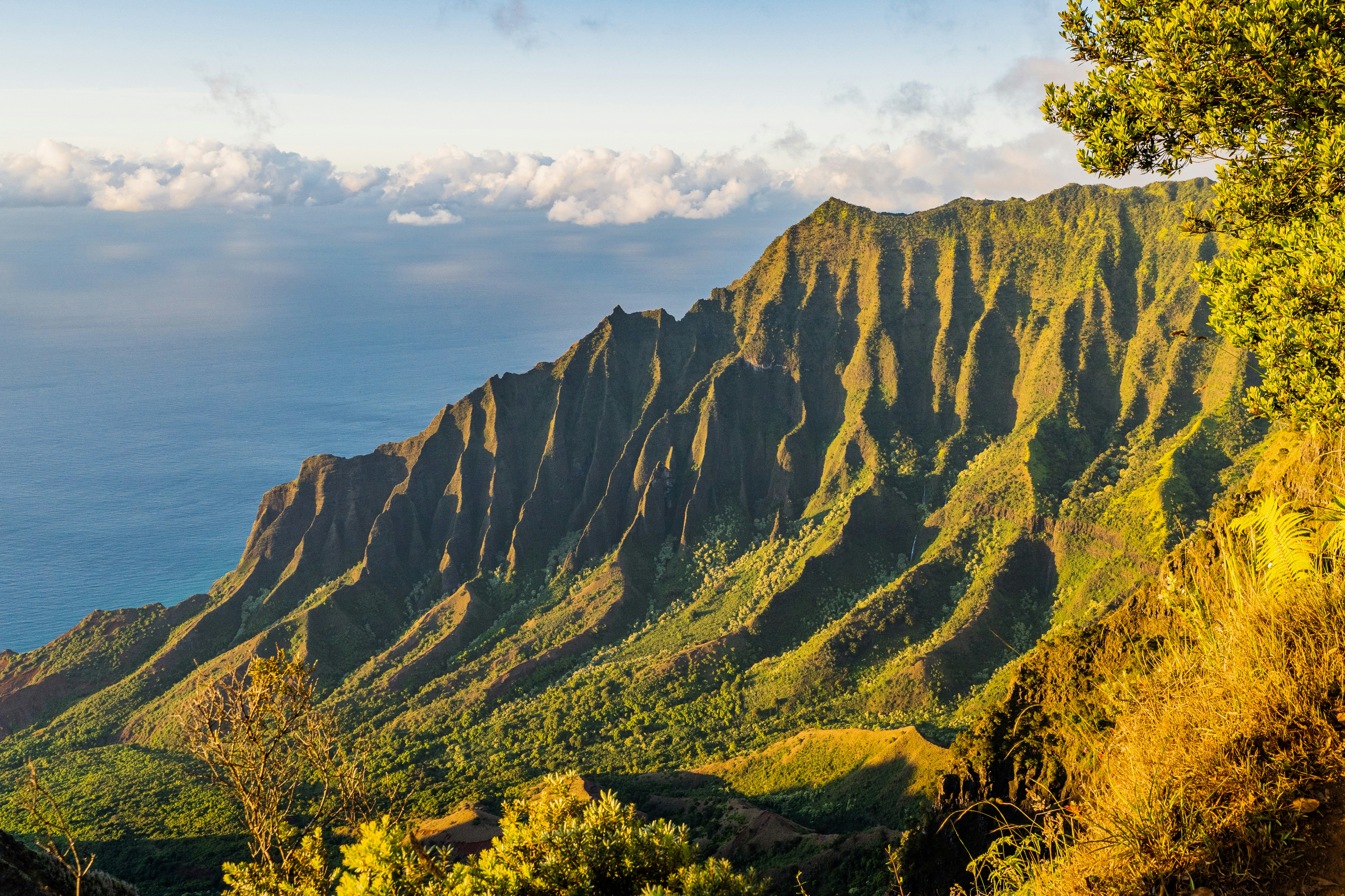 Photo by dapperprofessional