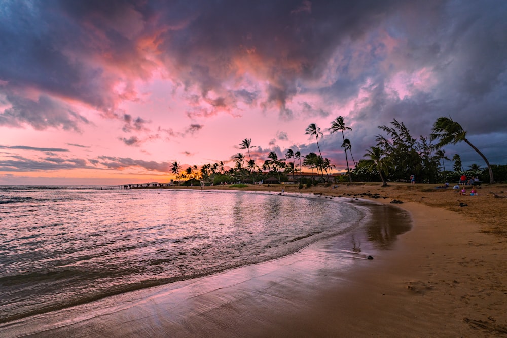 Orilla de la playa con palmeras bajo el cielo nublado durante la puesta del sol