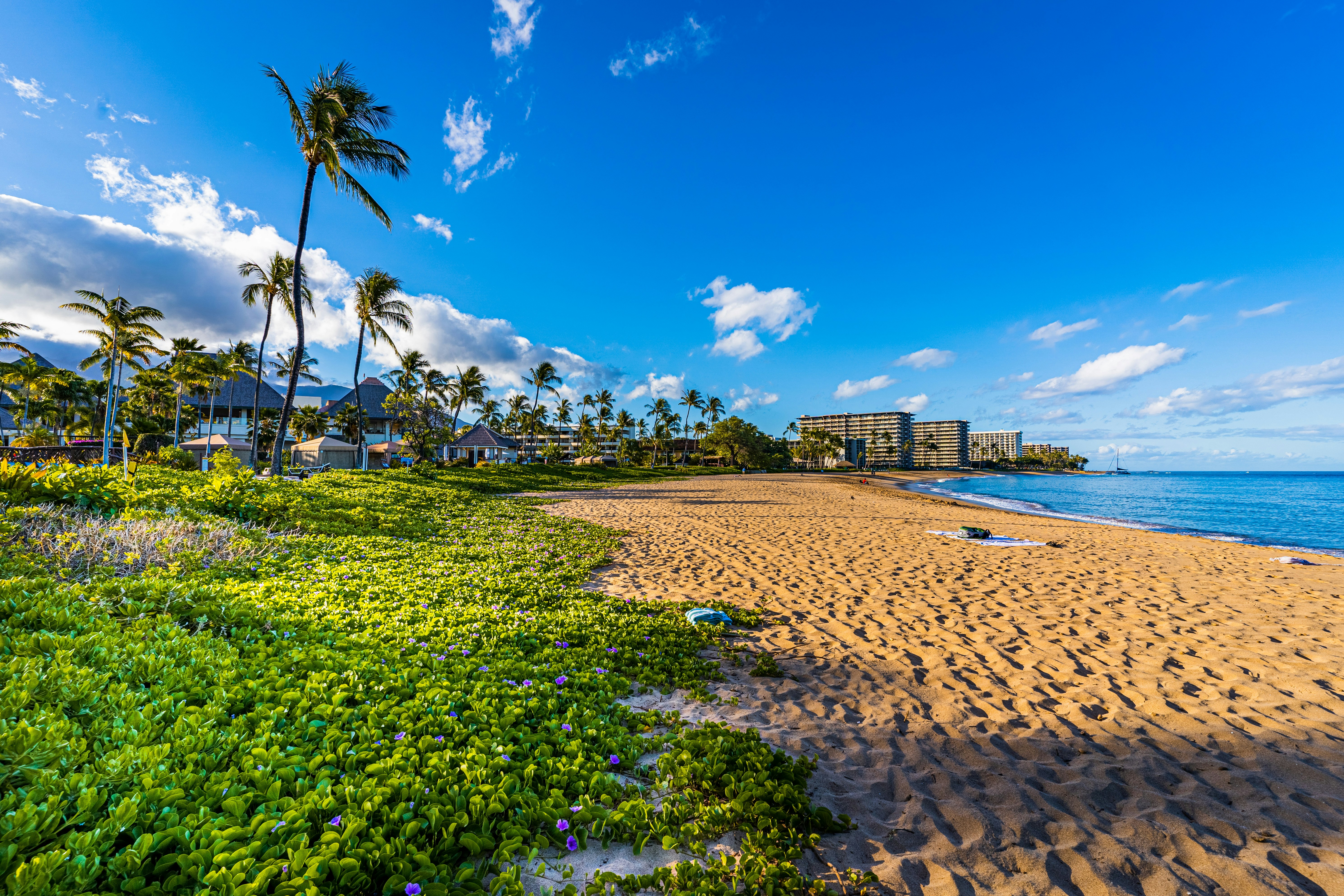 Photo by dapperprofessional