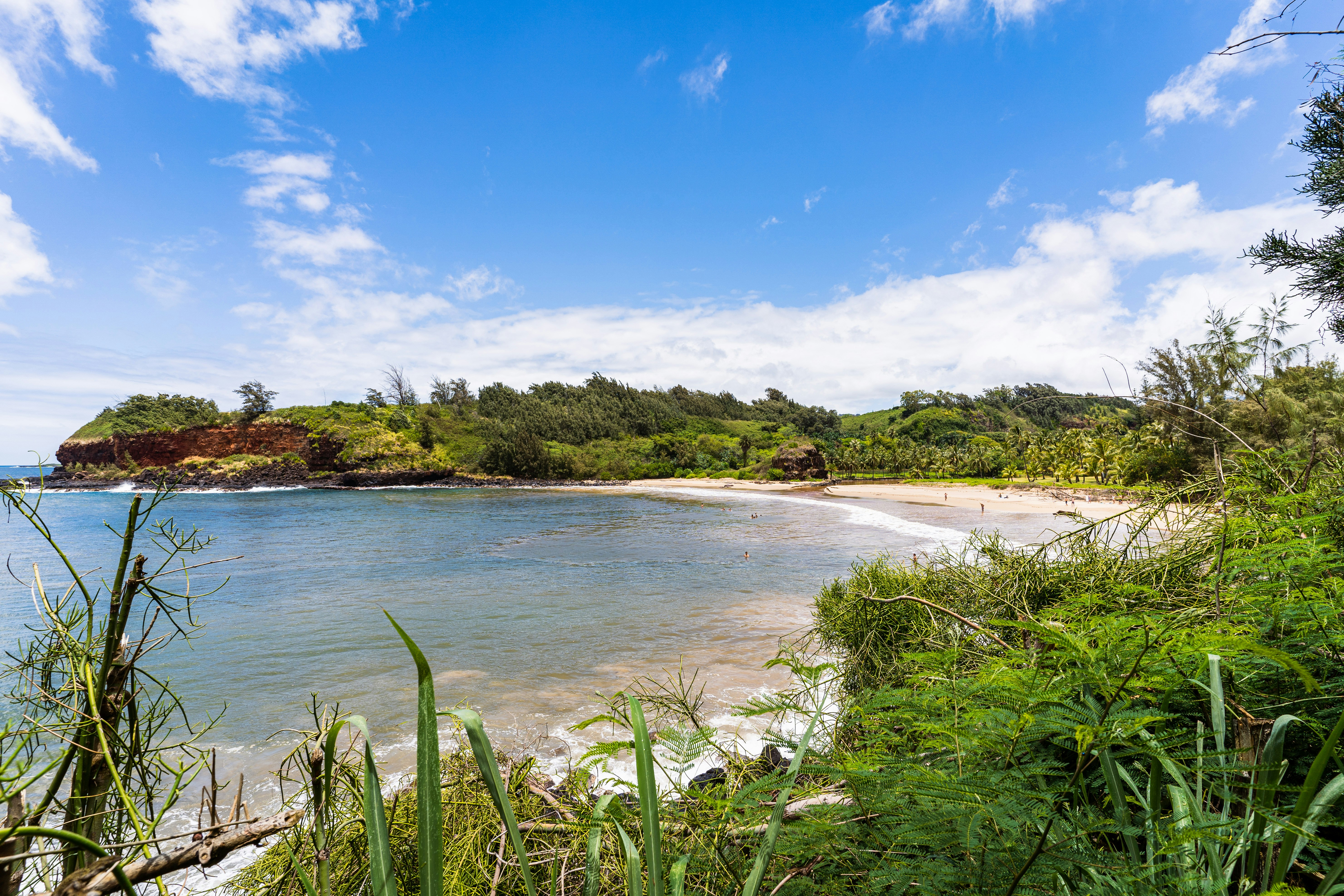 Photo by dapperprofessional