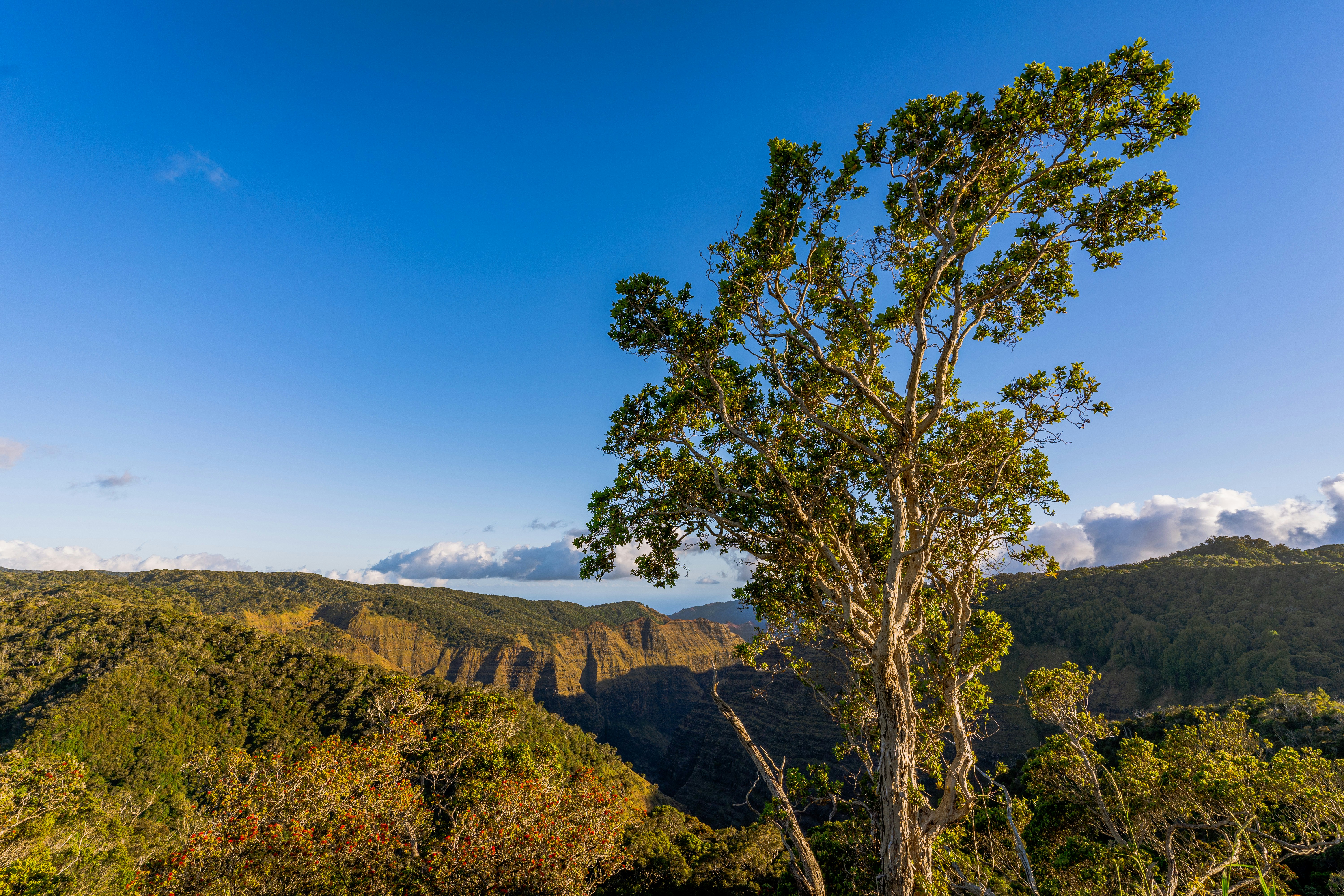 Photo by dapperprofessional