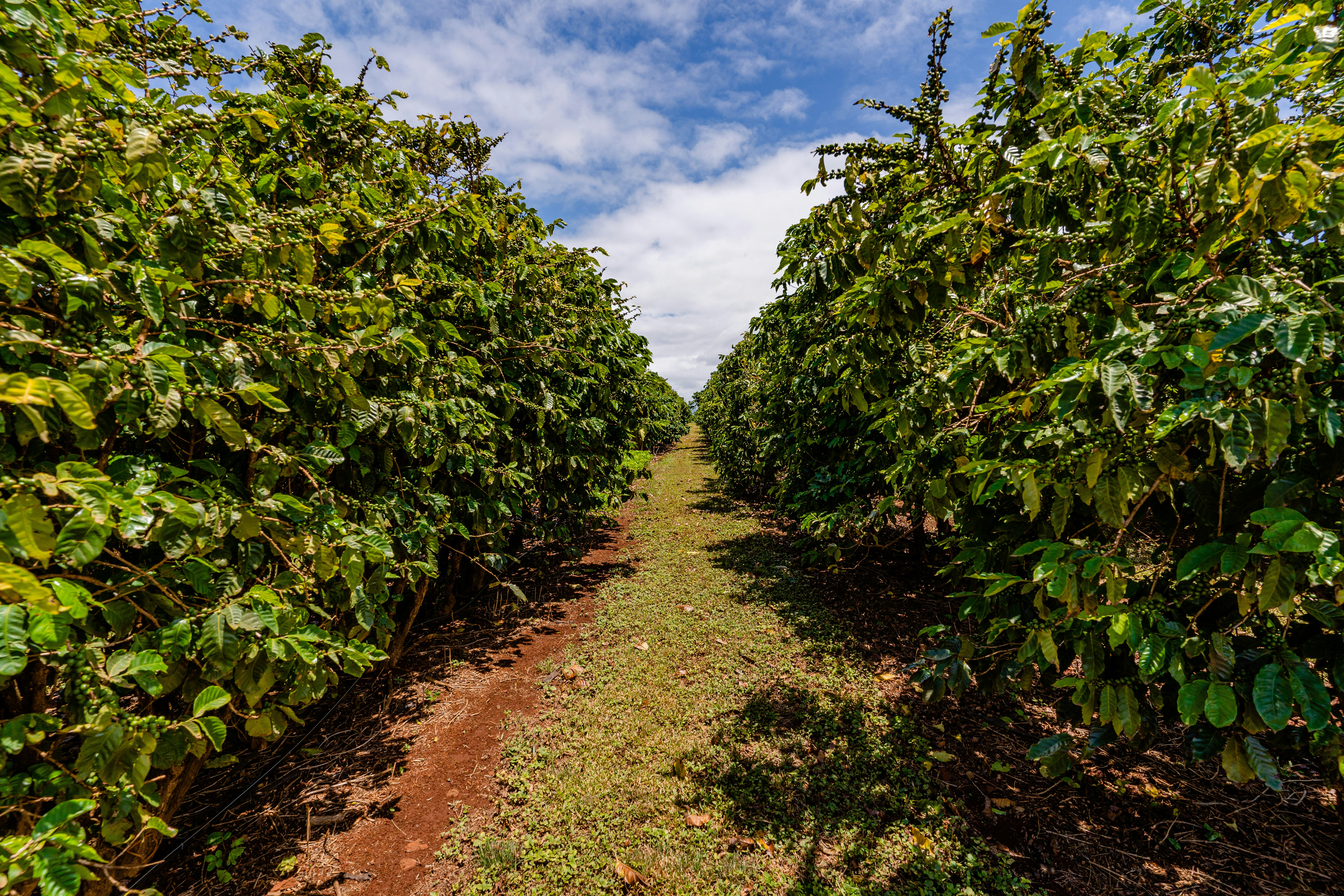 Photo by dapperprofessional