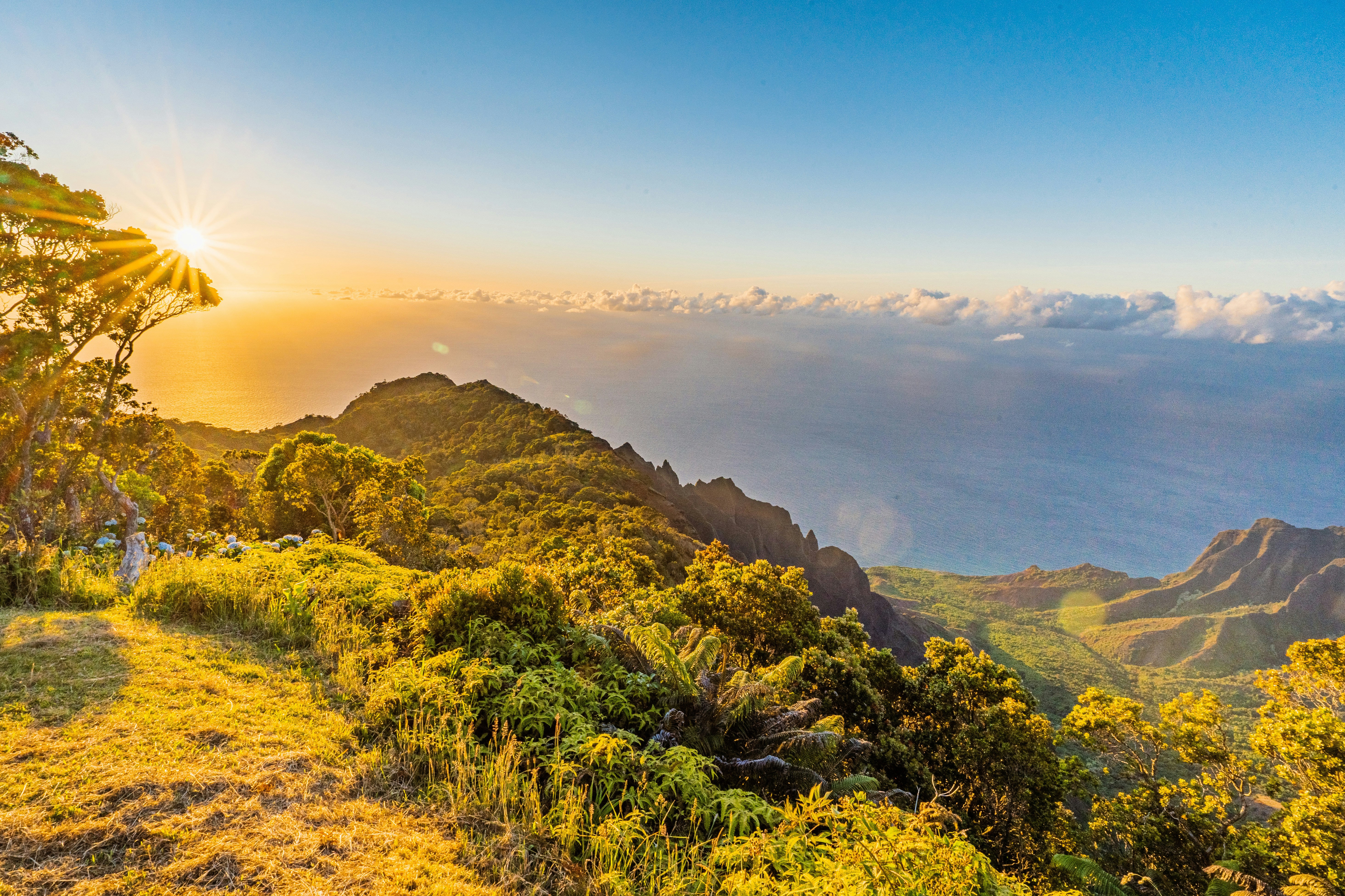 Photo by dapperprofessional