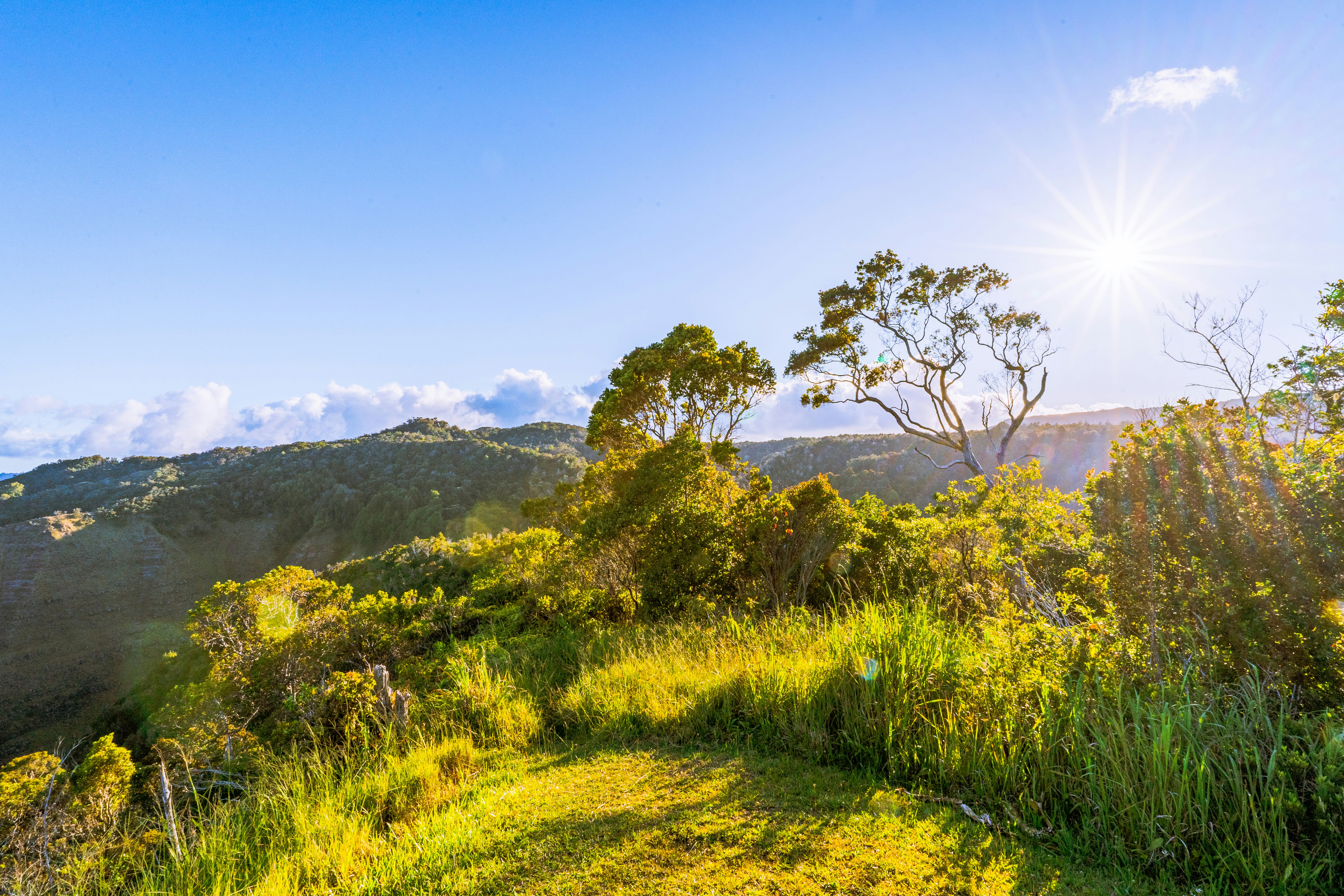 Photo by dapperprofessional