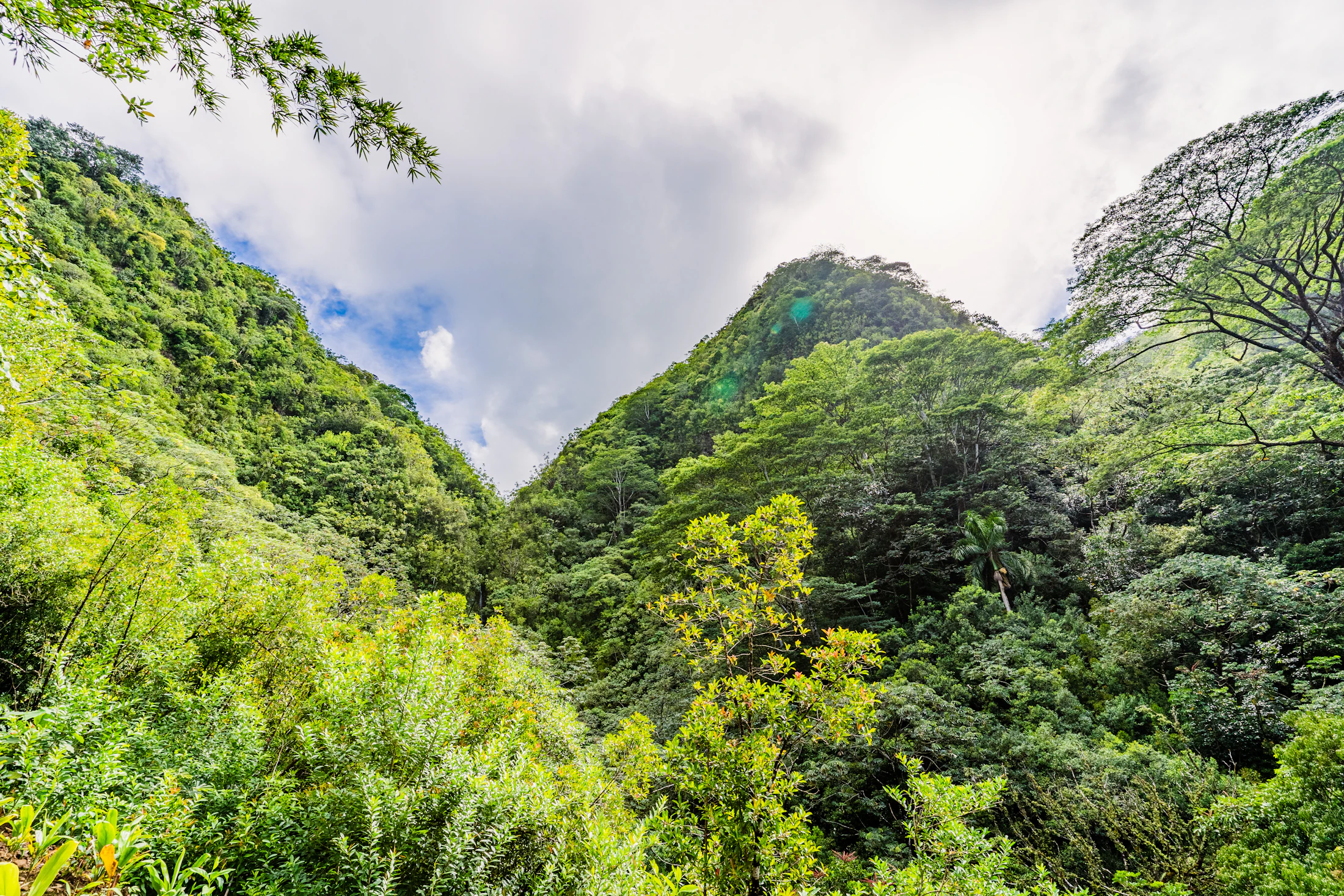 Grüner Bergrücken im Manoa Valley oberhalb von Honolulu