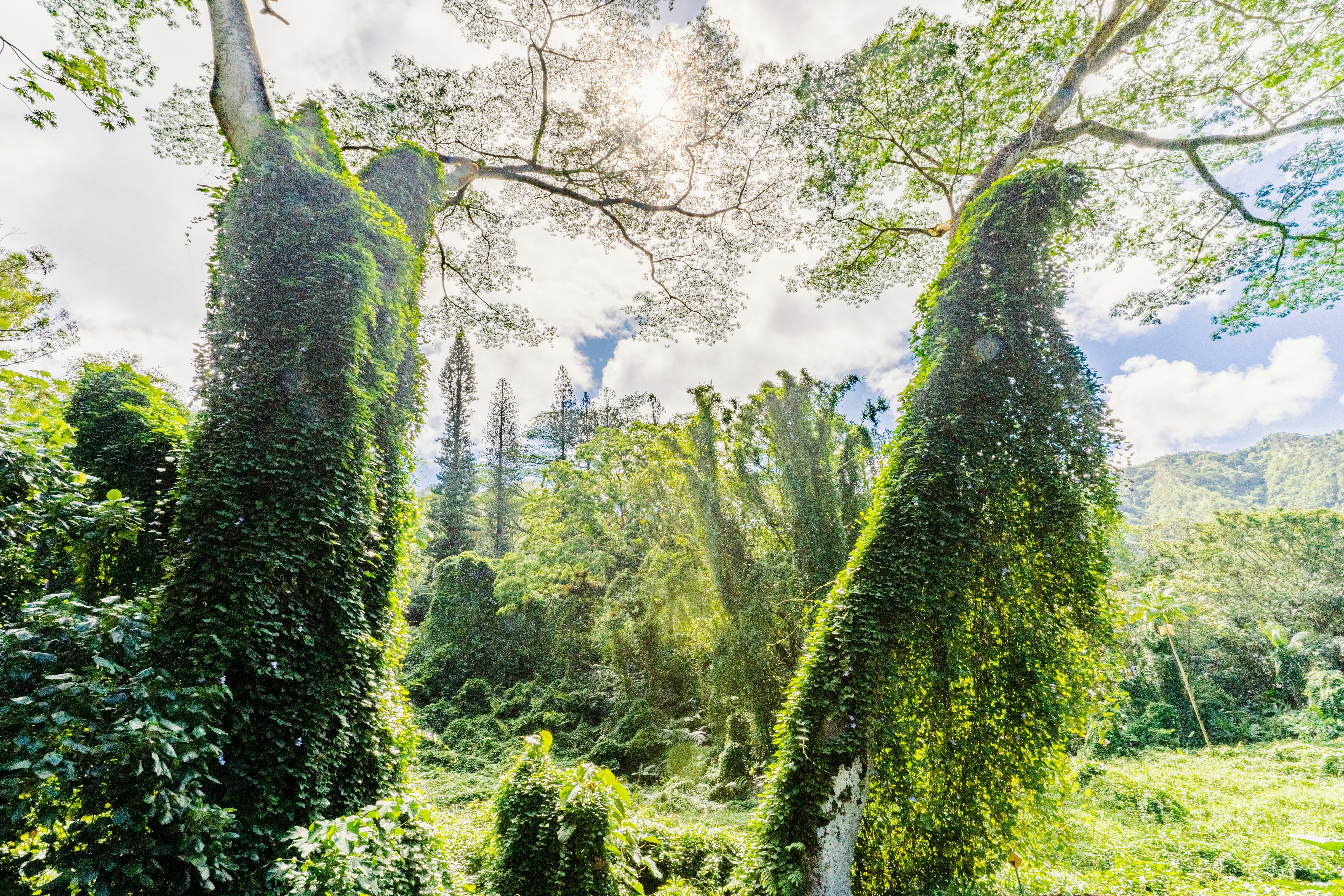 Photo by dapperprofessional