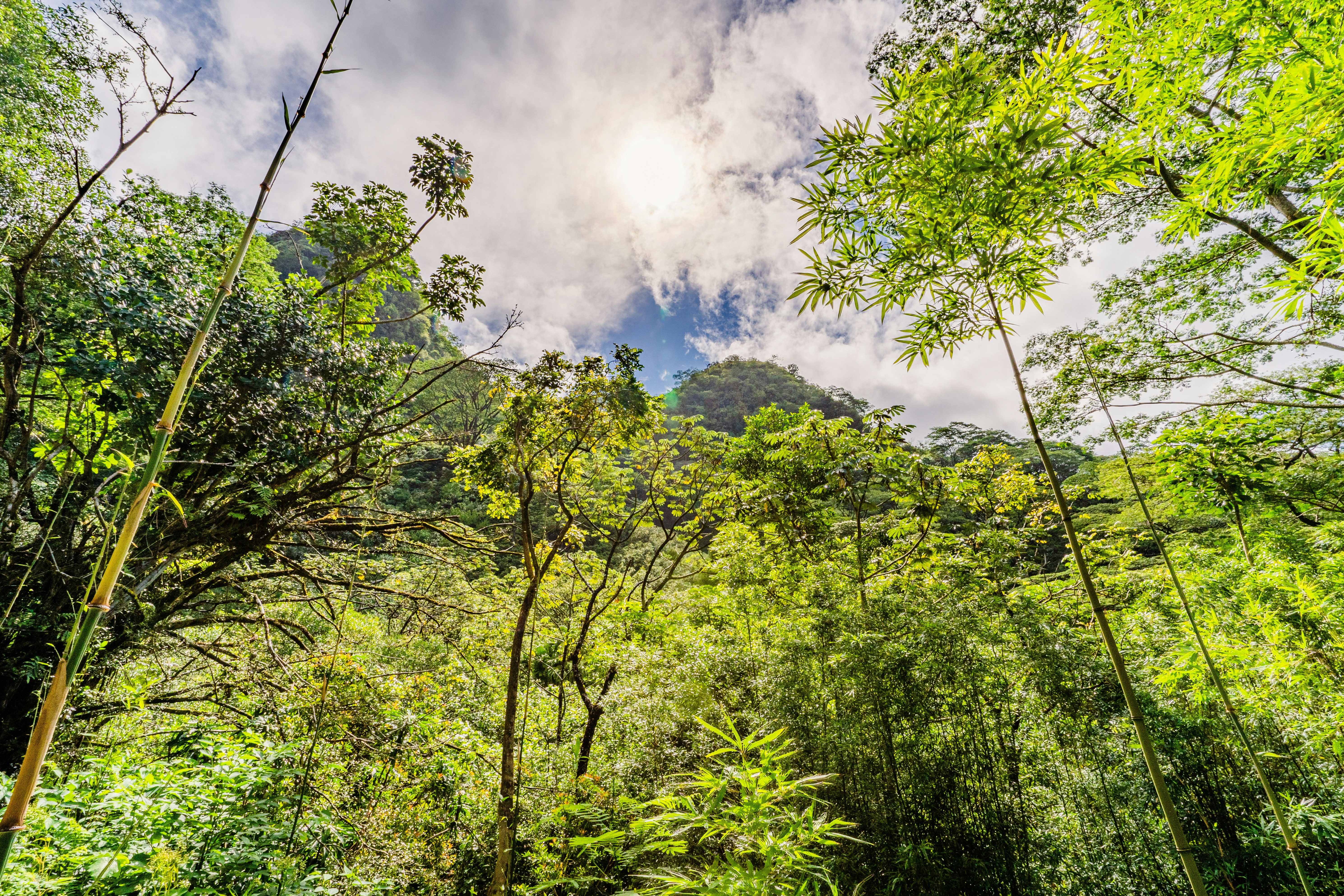 Photo by dapperprofessional