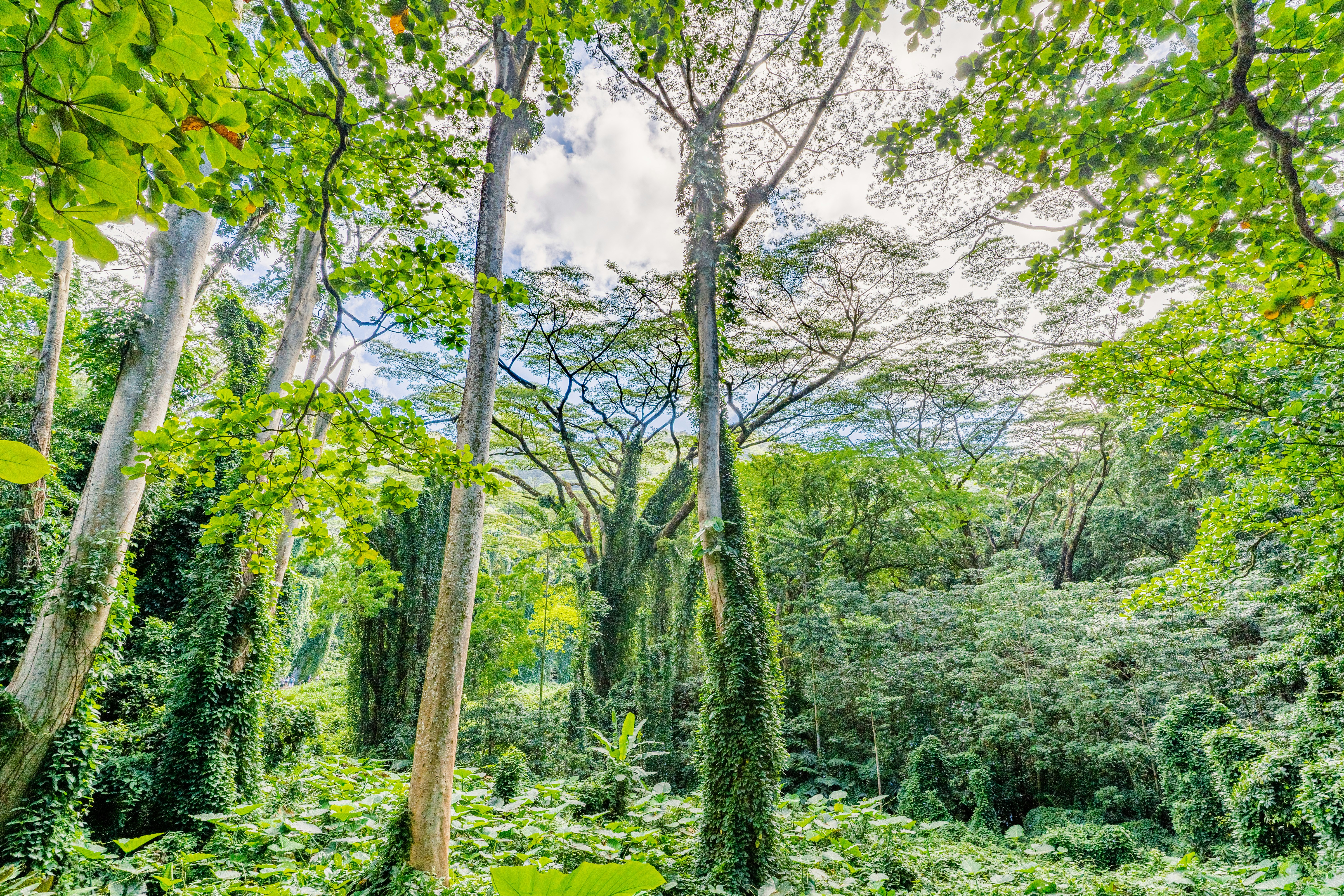 Photo by dapperprofessional