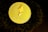A golden coin featuring the Ethereum logo and text rests against a dark, textured surface. The lighting creates a dramatic, luxurious feel with reflective highlights on the coin.