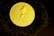 A golden coin featuring the Ethereum logo and text rests against a dark, textured surface. The lighting creates a dramatic, luxurious feel with reflective highlights on the coin.