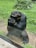 A chimpanzee is sitting next to a glass partition, appearing thoughtful with its hand resting on its chin. The background is lush with greenery, including grass and plants.